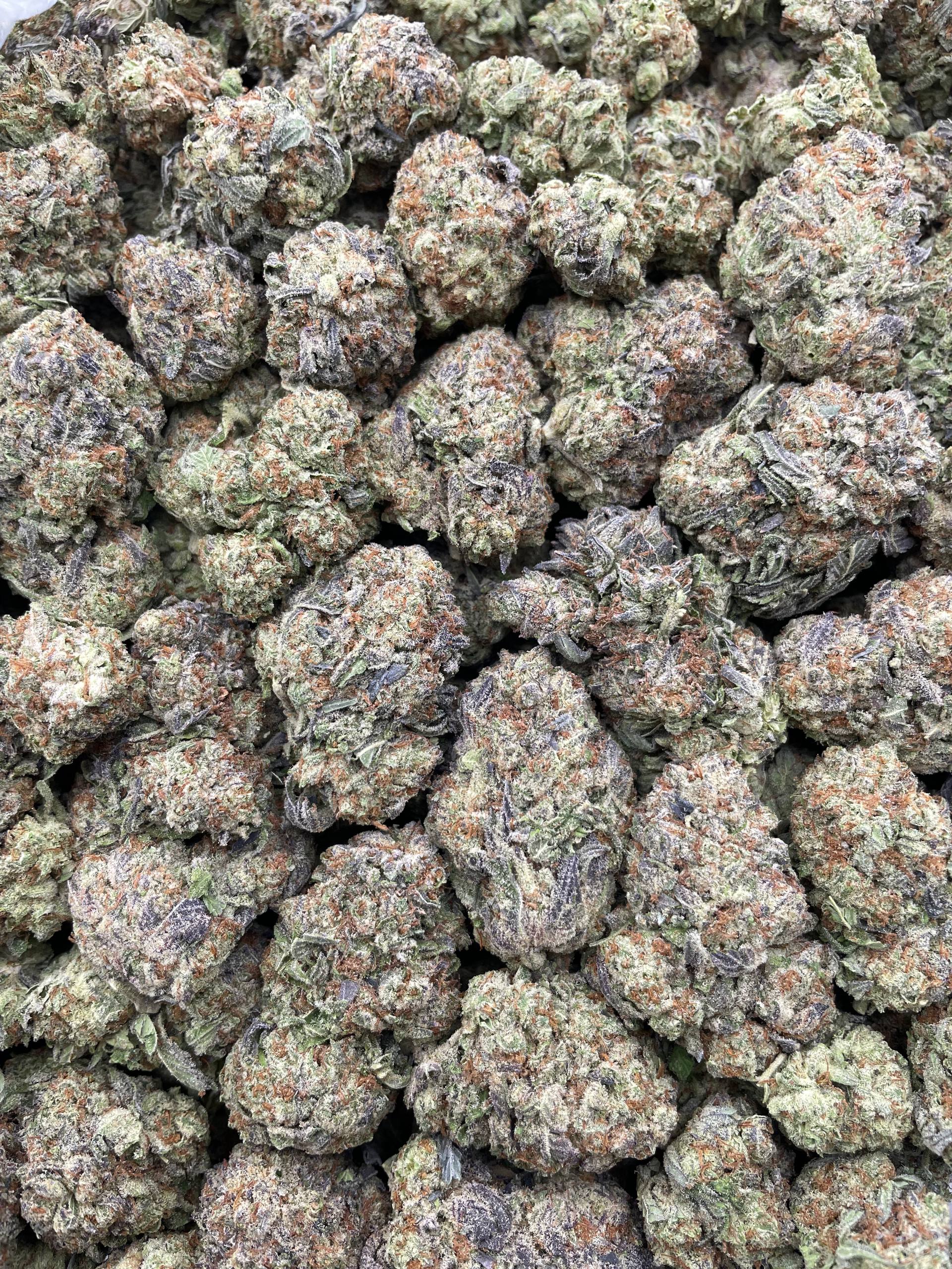 #L17B Jelly Donut (MIXED LIGHT)