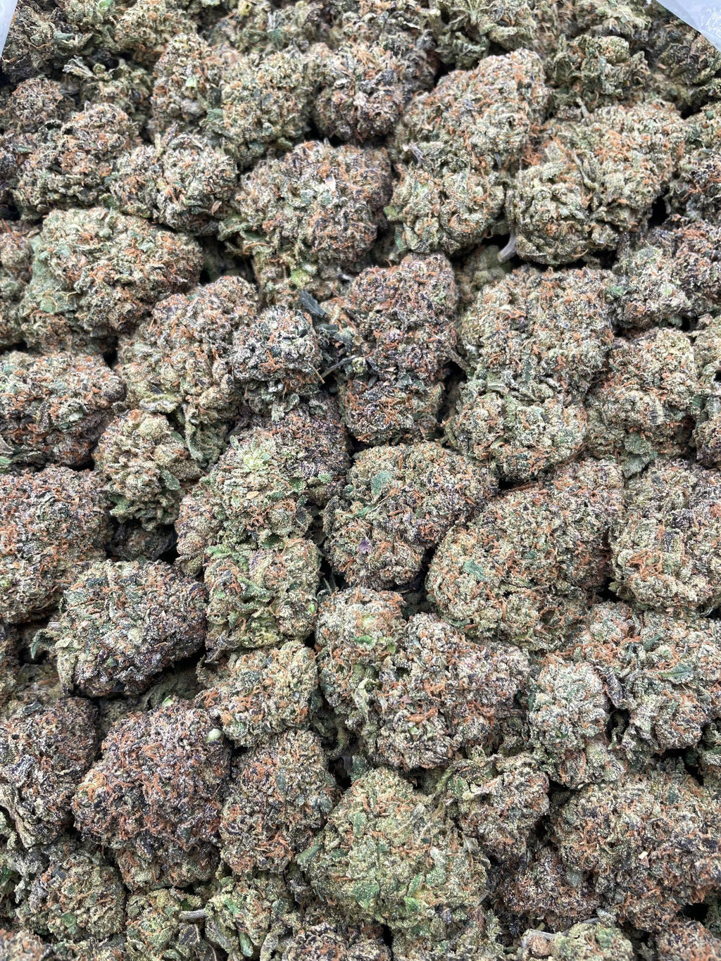 #F21B Blue Mochi (INDOOR)