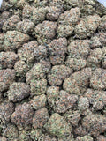 #F21B Blue Mochi (INDOOR)