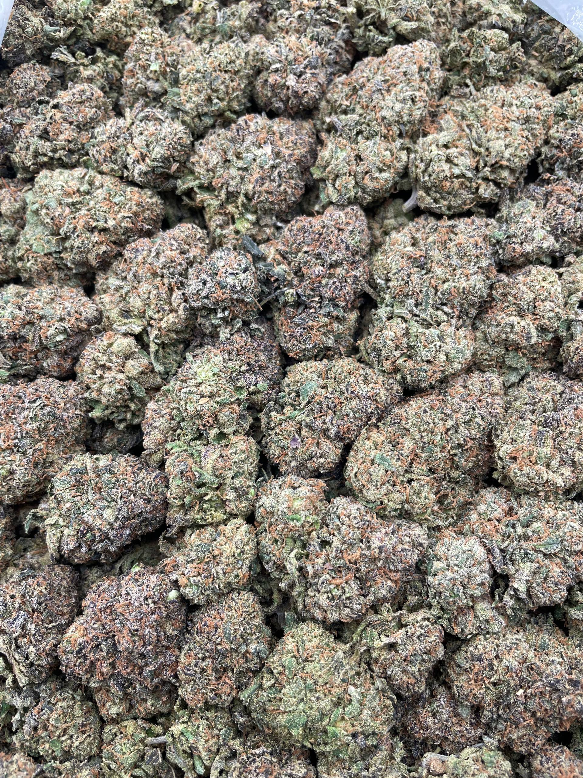 #F21B Blue Mochi (INDOOR)
