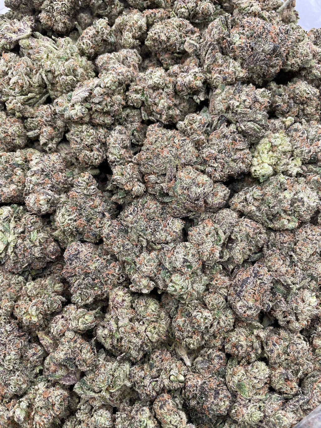 #L40C Mega Lemon Skittlez (INDOOR) (LICENSED) (ORGANIC)