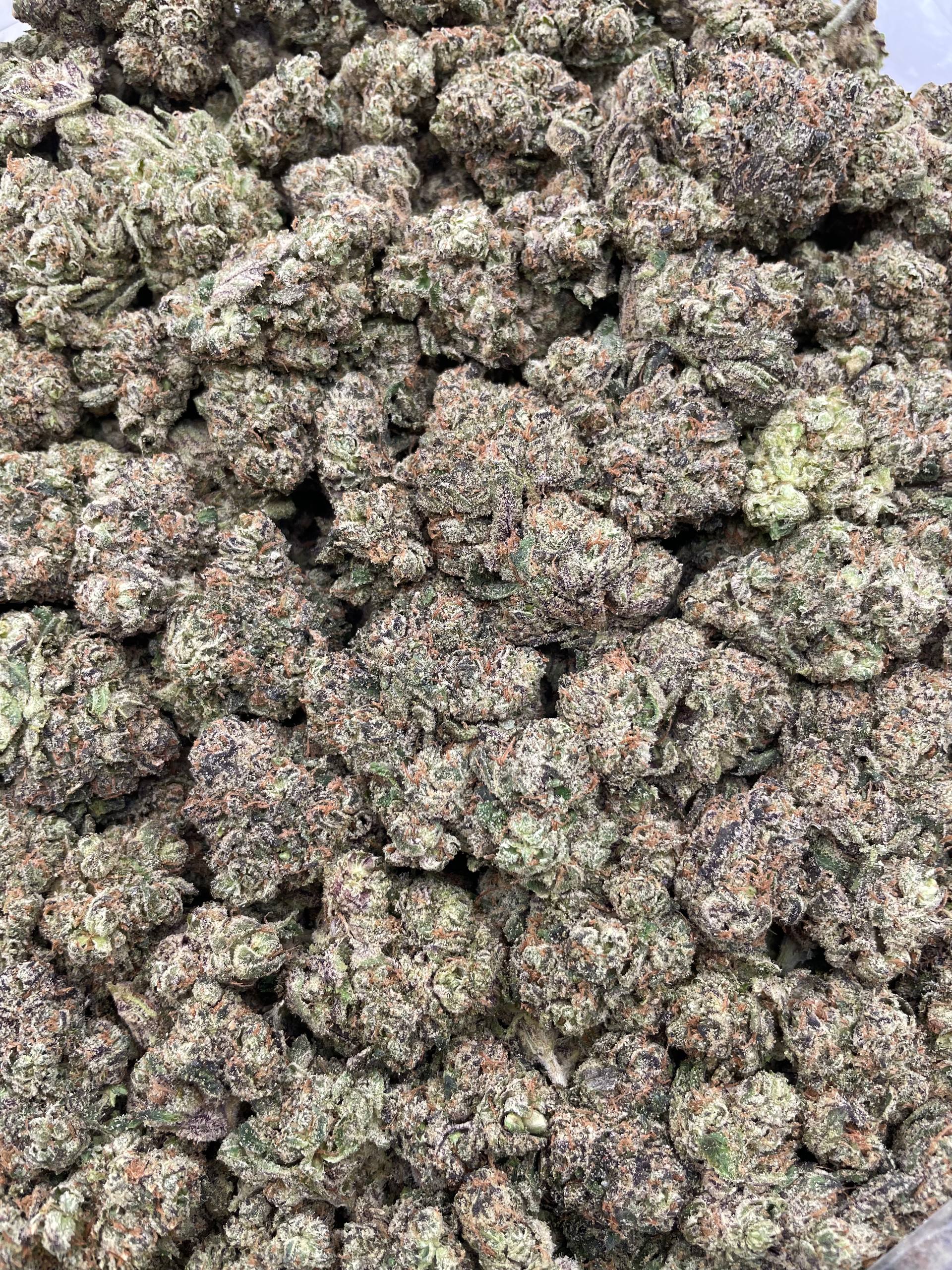 #L40C Mega Lemon Skittlez (INDOOR) (LICENSED) (ORGANIC)