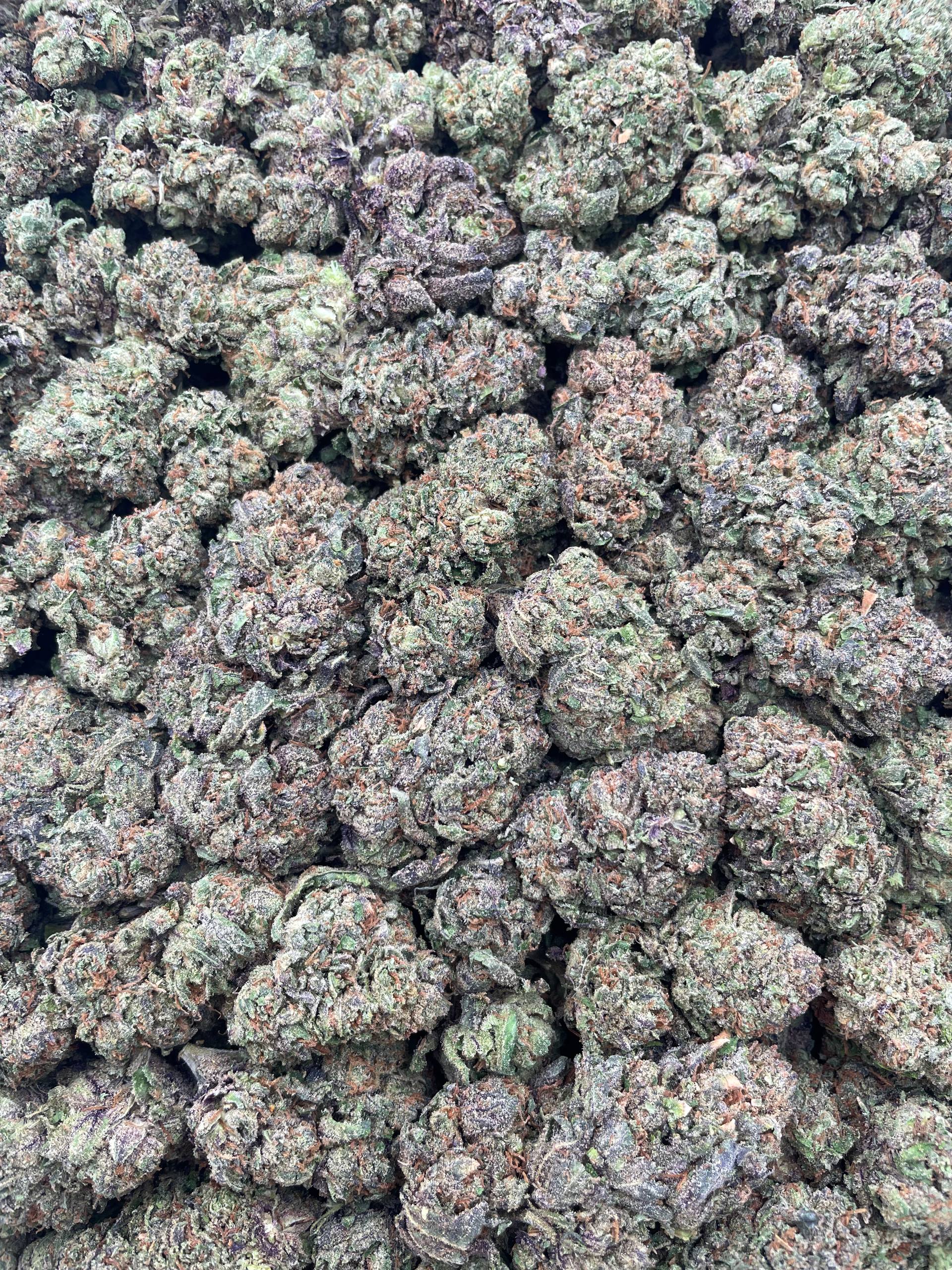 #F20C Juicy Drop Pop (MIXED LIGHT)