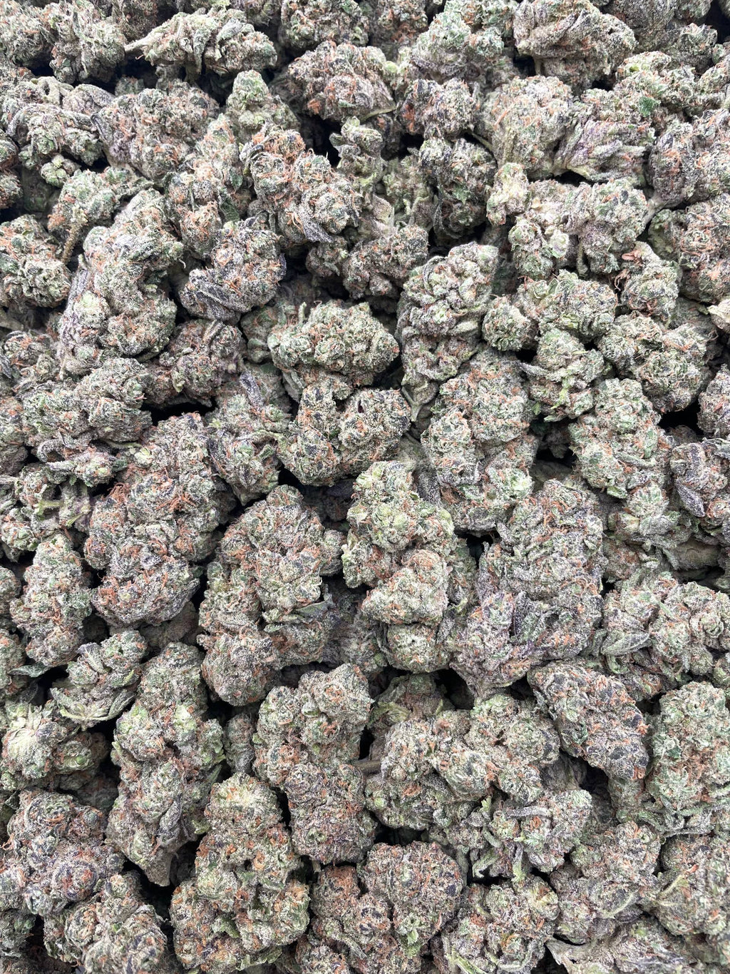 #F15B Cookie Dough (INDOOR)