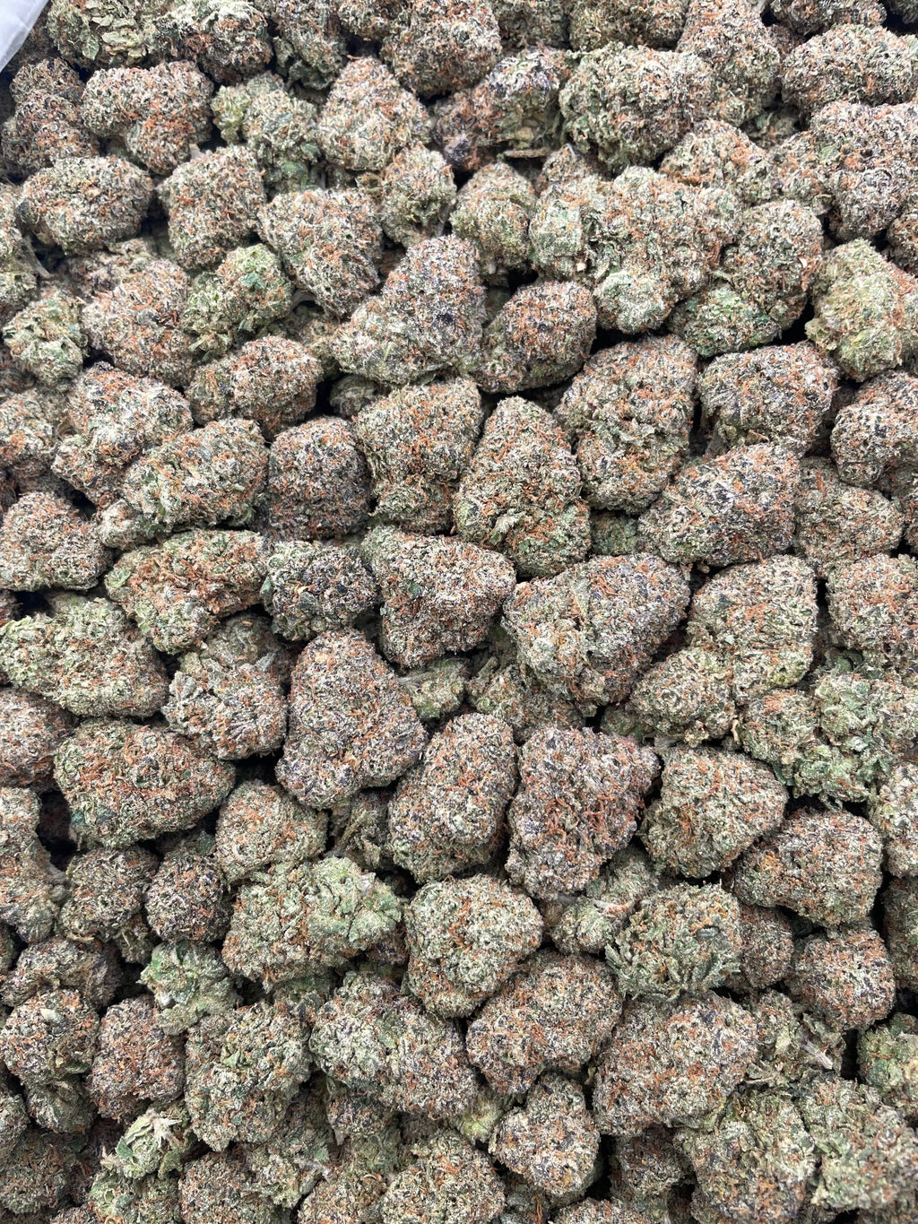 #F19C Lemon Cherry Tris (MEDIUMS)