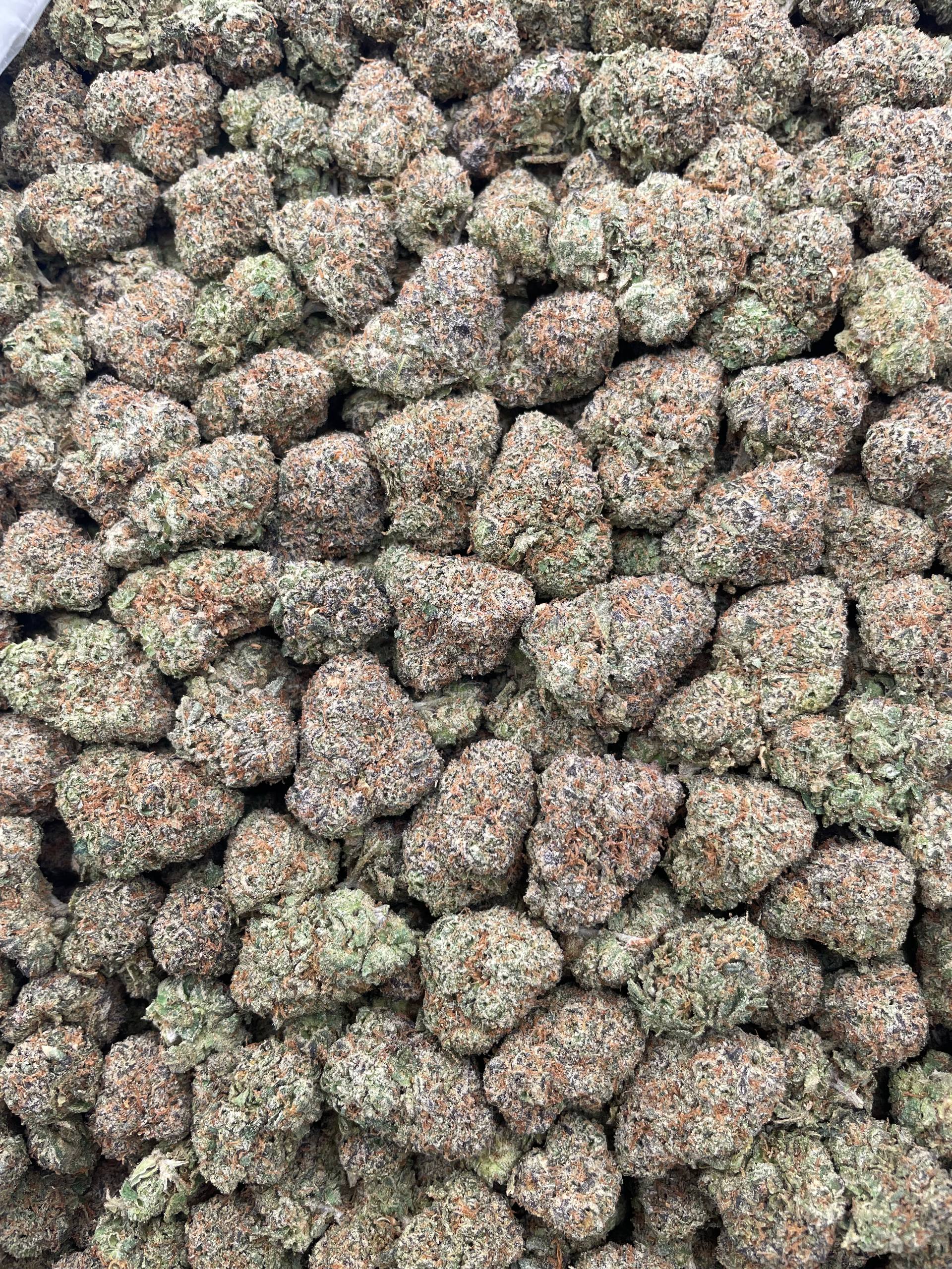 #F19C Lemon Cherry Tris (MEDIUMS)