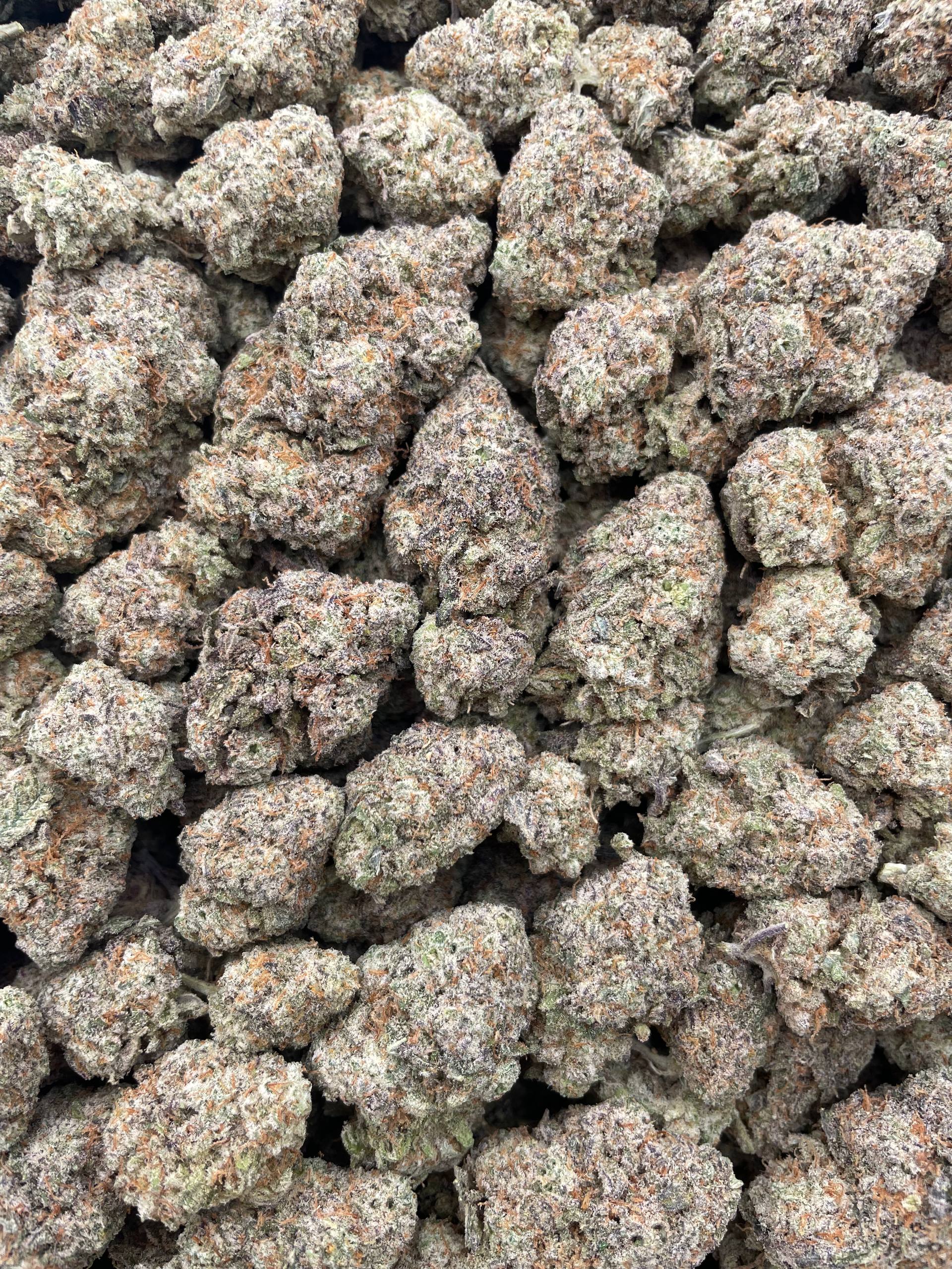 #F36C Mac 11 (INDOOR)