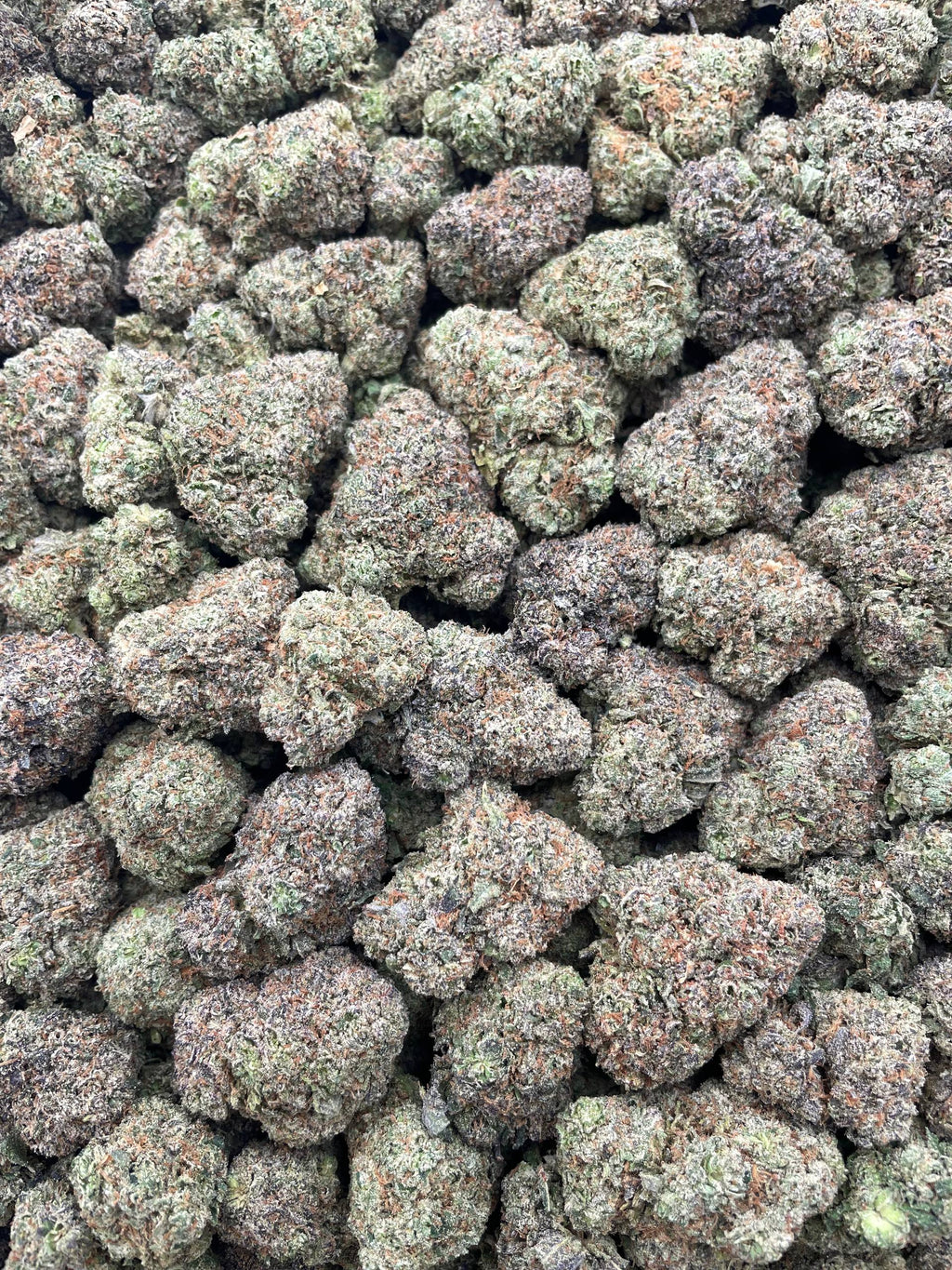#G5B Cherry Spritez (INDOOR)