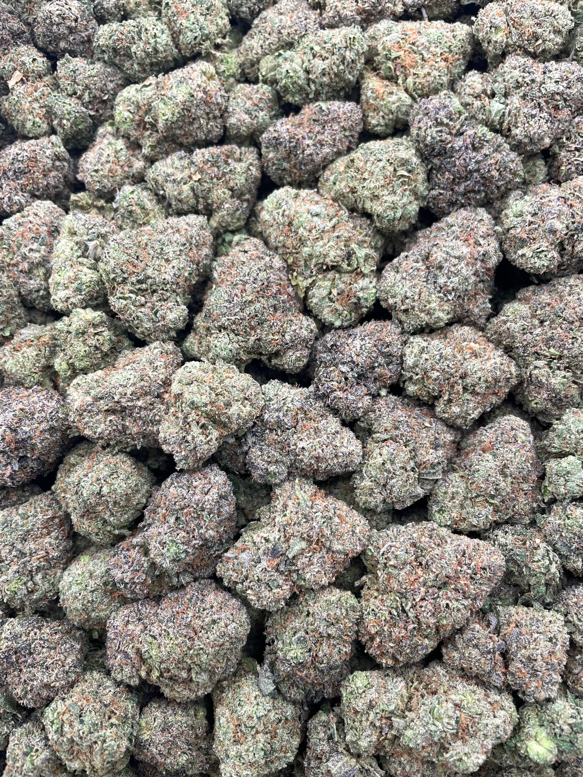 #G5B Cherry Spritez (INDOOR)