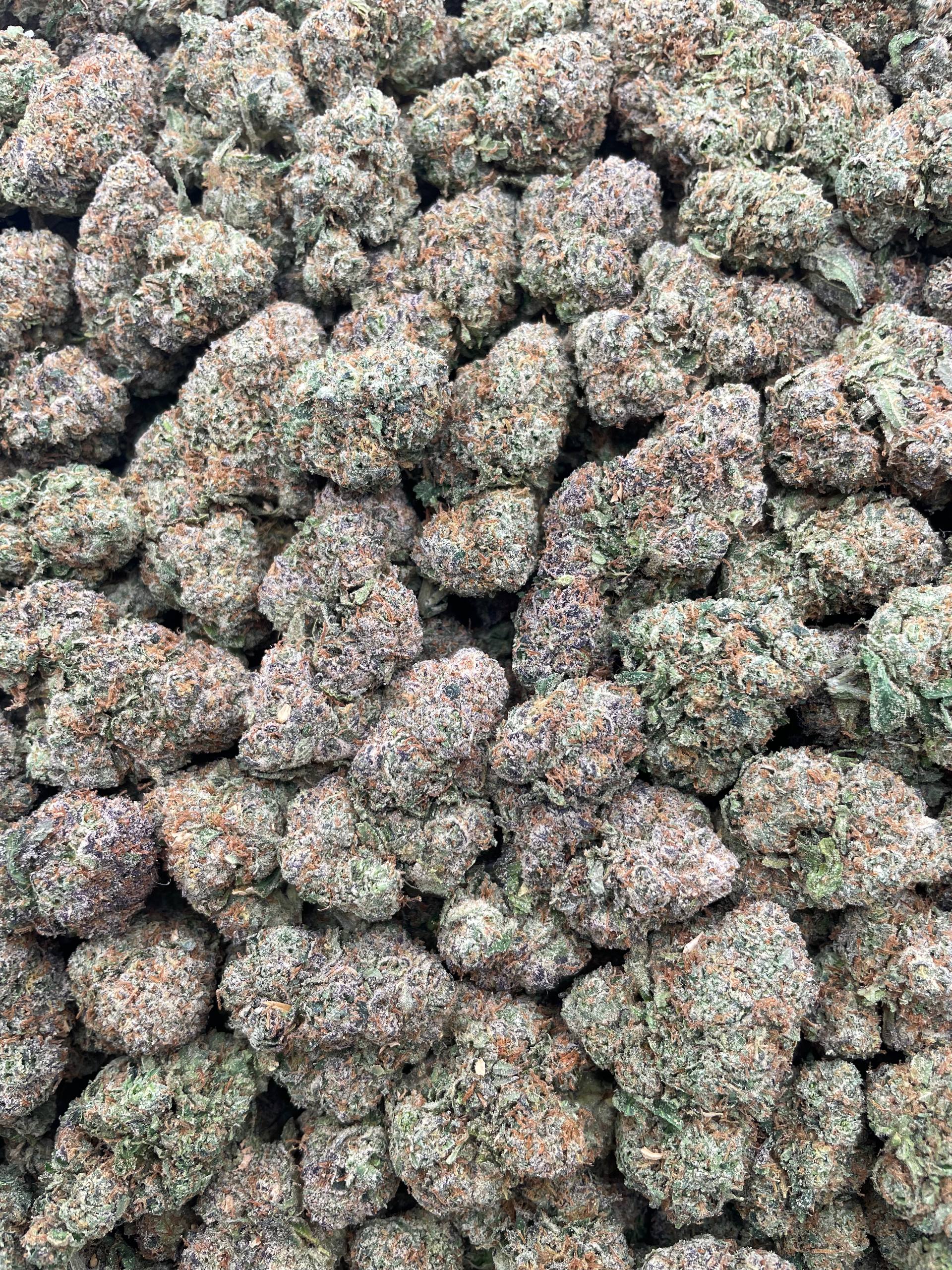 #G33B Gumbotron (INDOOR) (LICENSED)