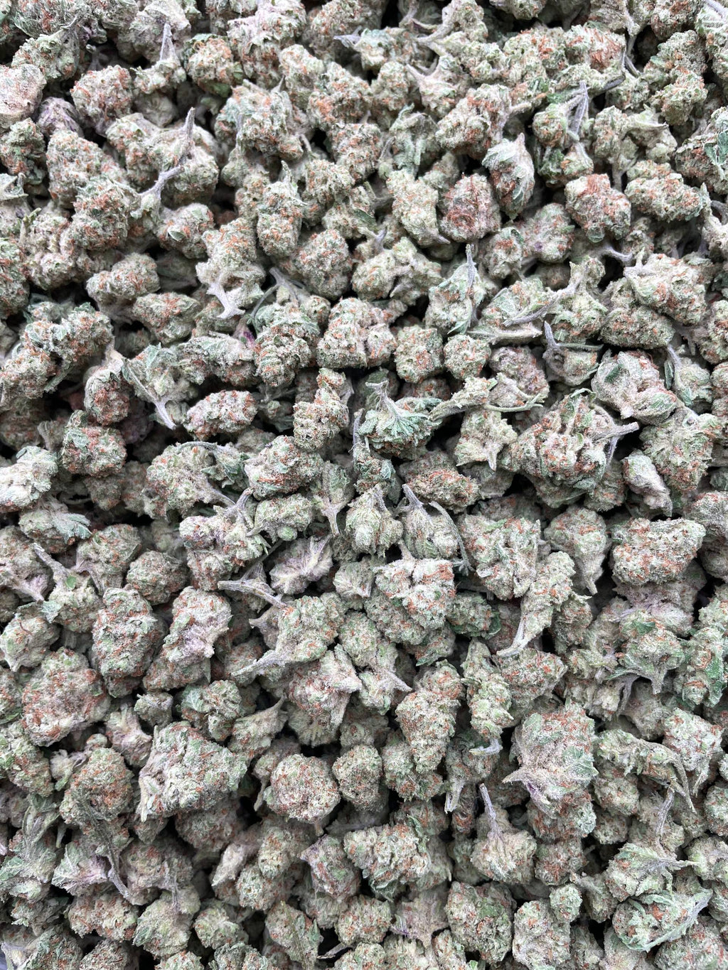 #E2C Papaya Punch (SMALLS)