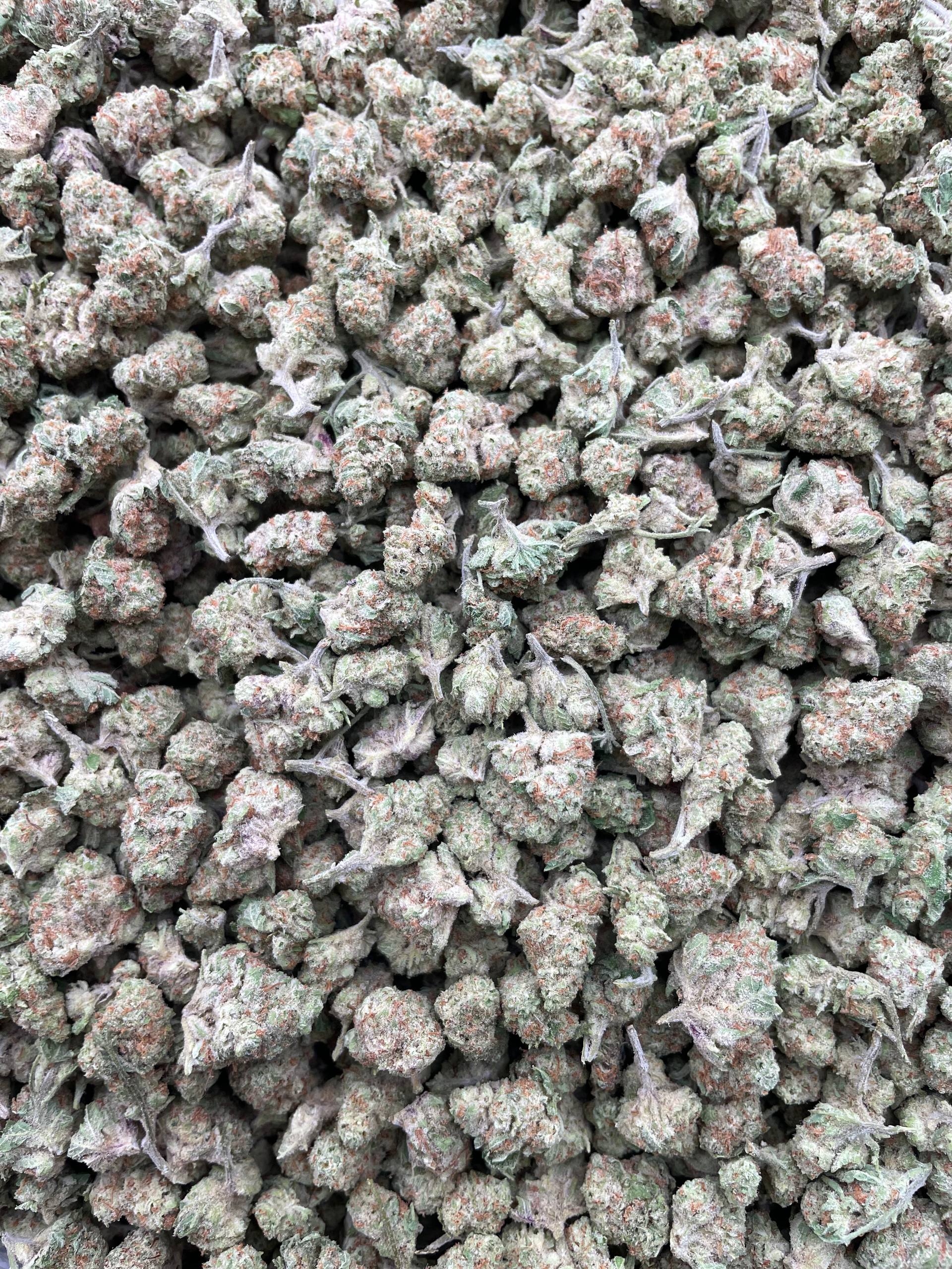 #E2C Papaya Punch (SMALLS)