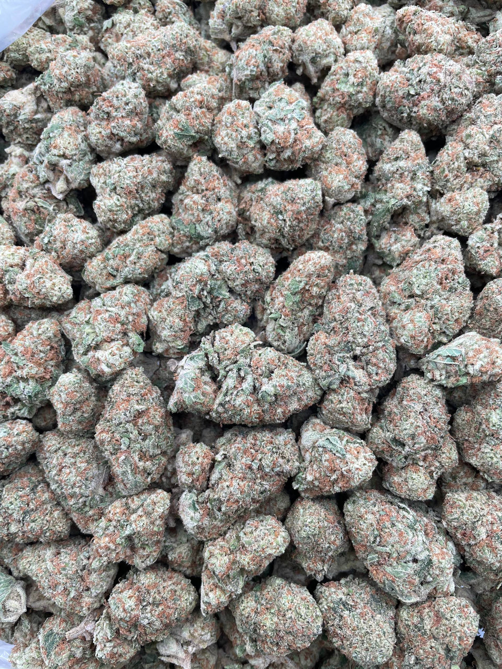 #F5C Strawberry Punch (INDOOR)