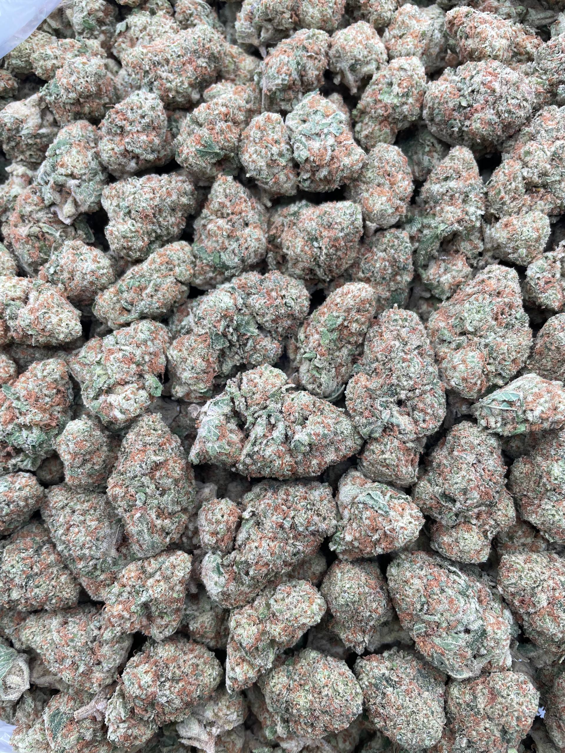 #F5C Strawberry Punch (INDOOR)