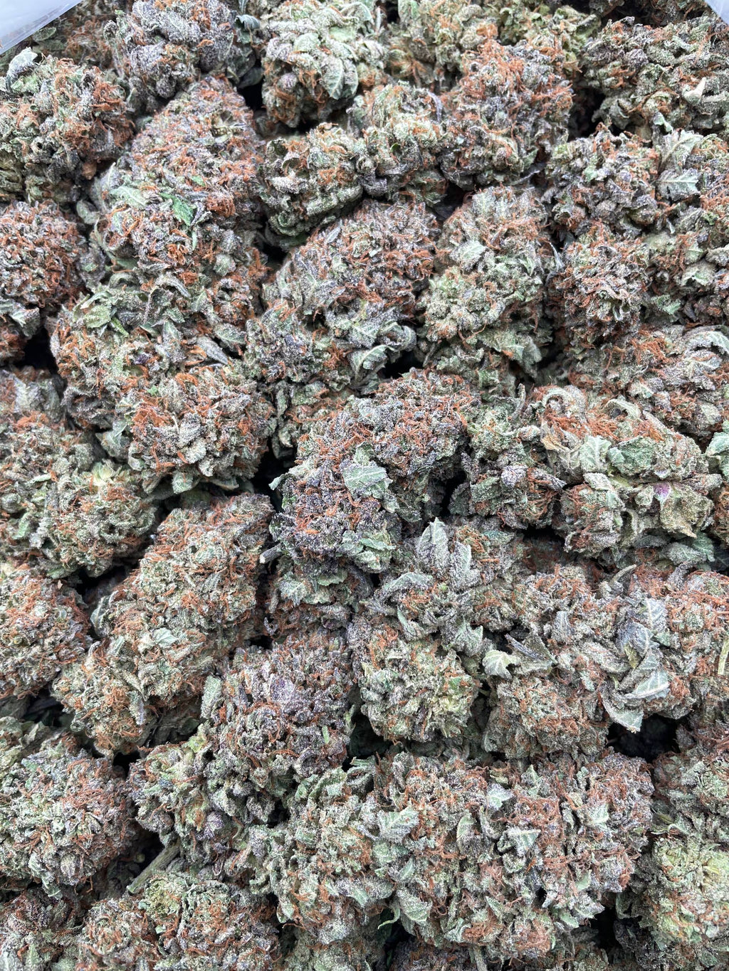 #E15A Bubba Vault (INDOOR)