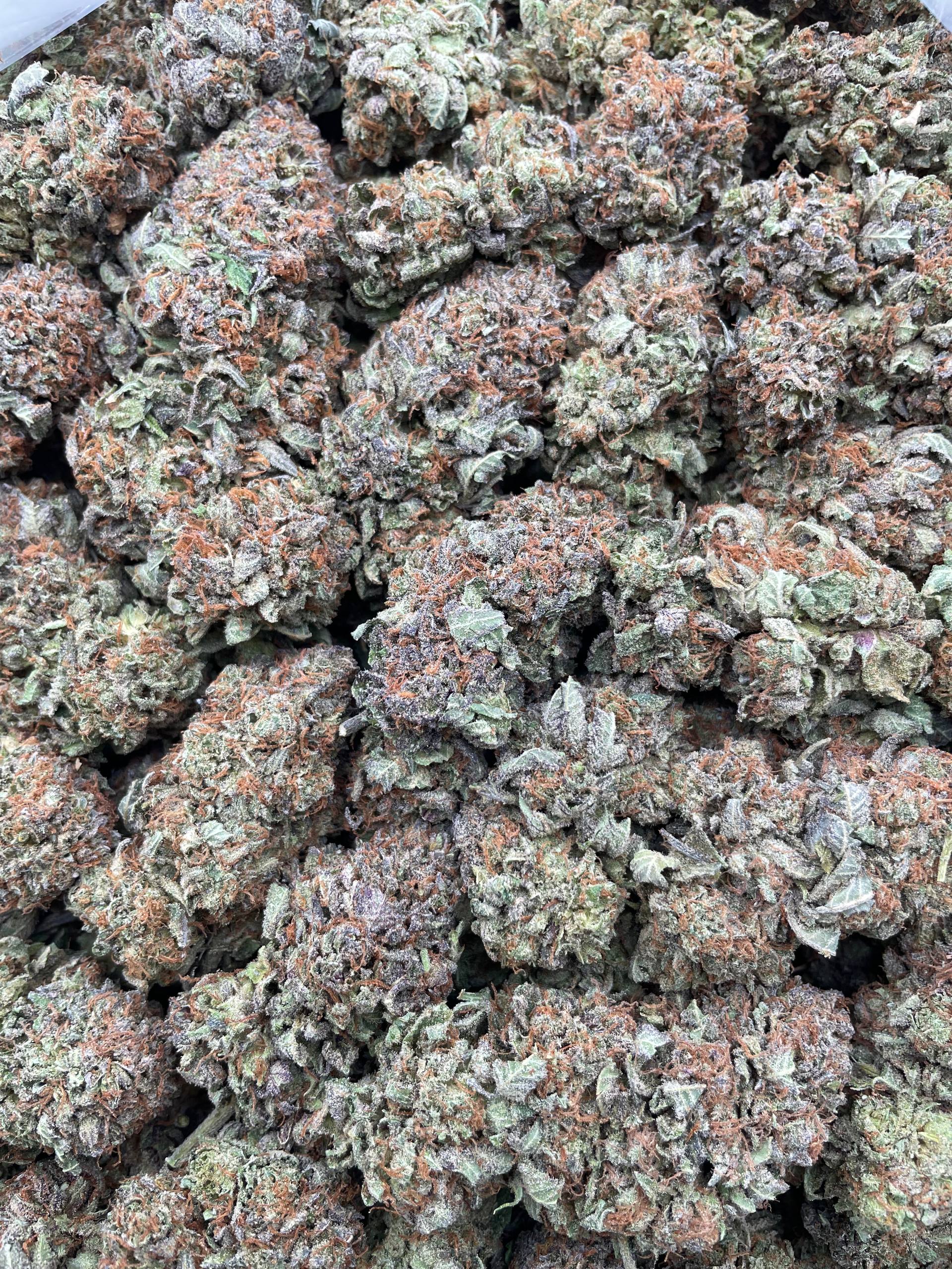 #E15A Bubba Vault (INDOOR)
