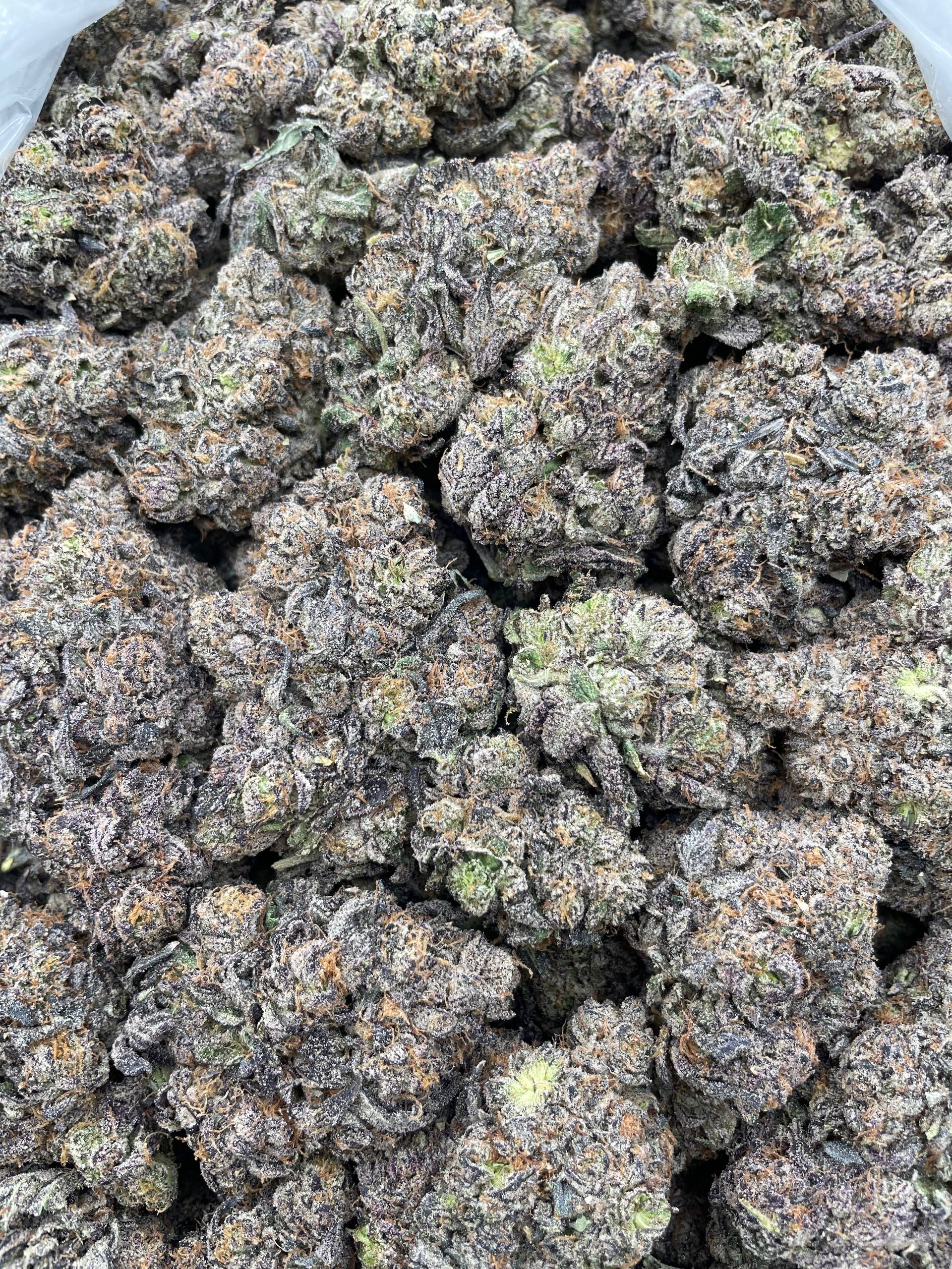 #F40A Godzilla Purple Flames (INDOOR) (LICENSED) (ORGANIC)