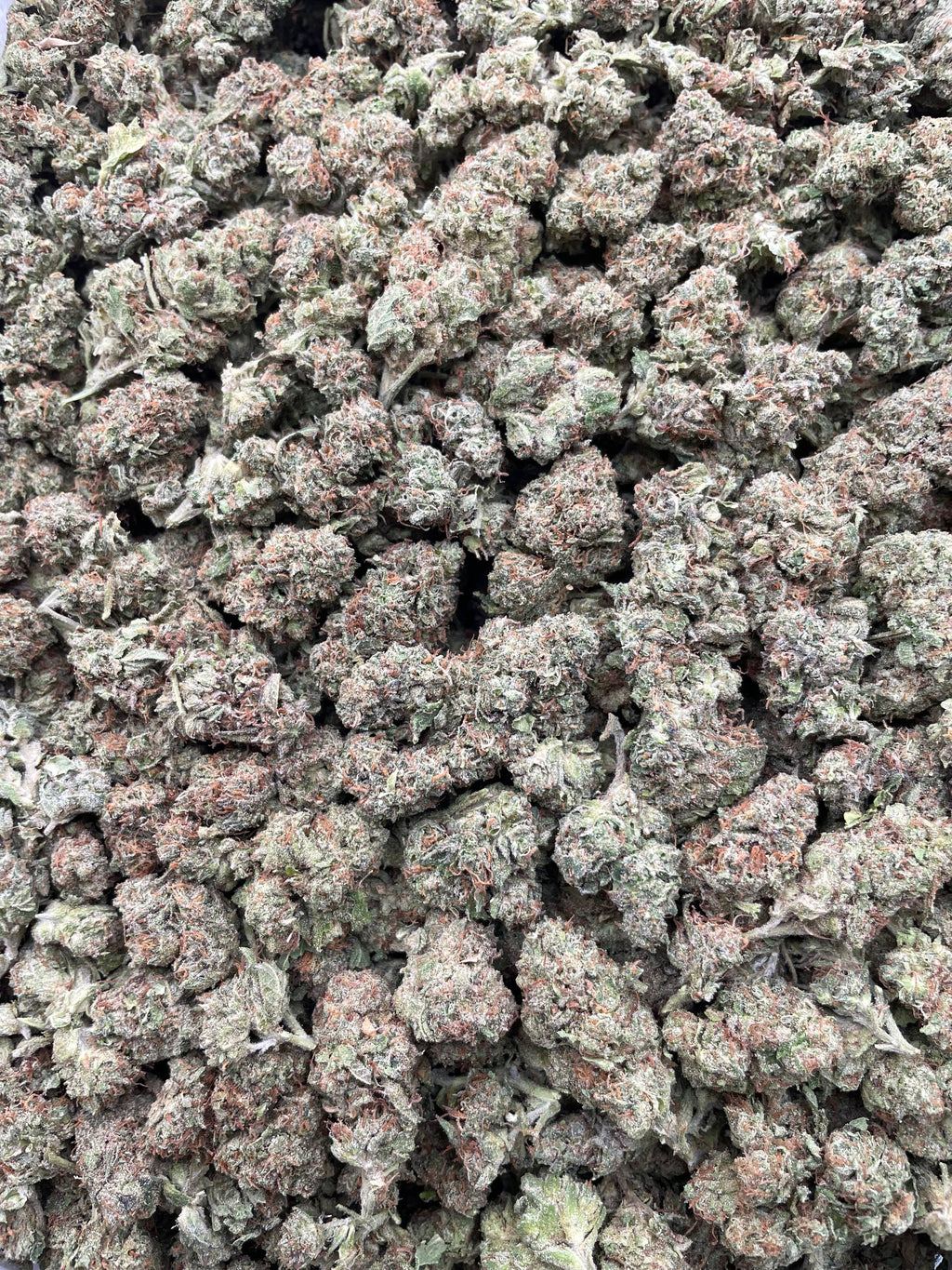 #L39C Strawberry Shortcake (DEP)