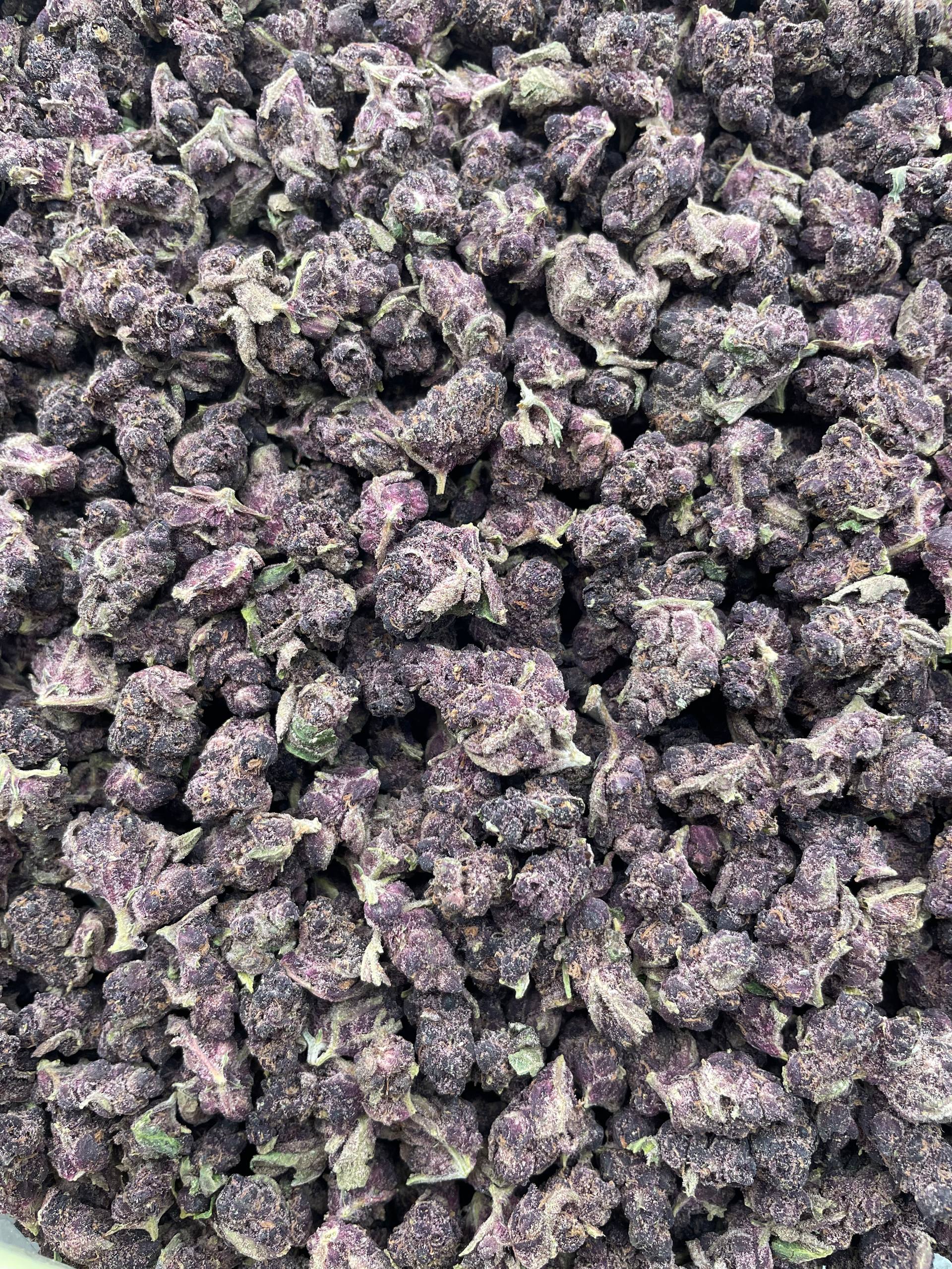 #L4A Forbidden Fruit God (SMALLS) (LICENSED)