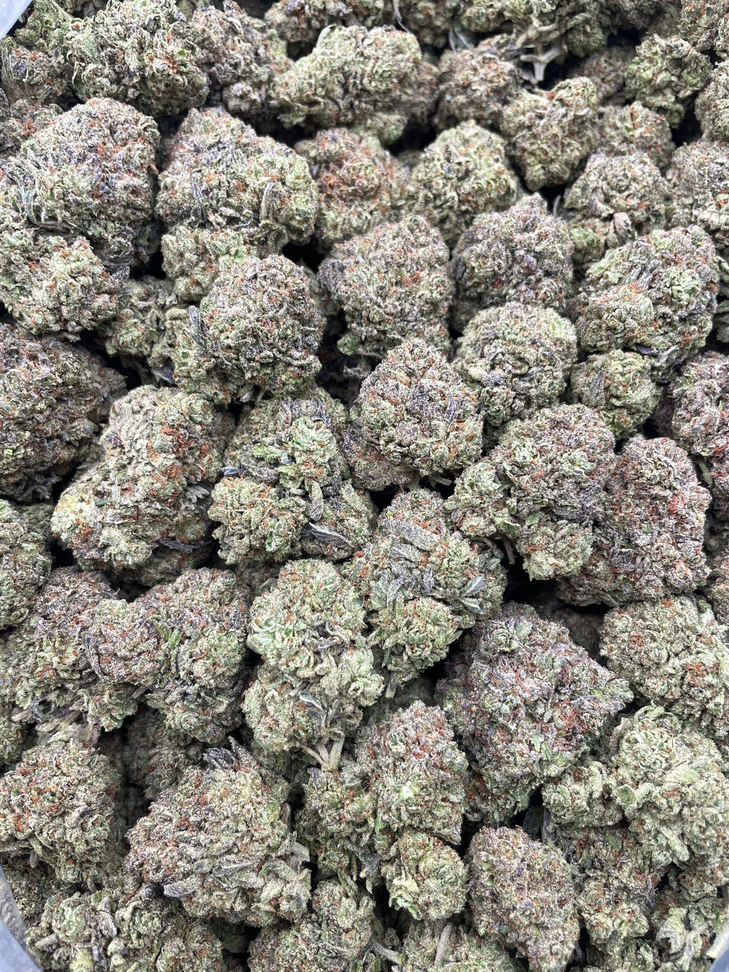 #F33C Candy Mandy (INDOOR)