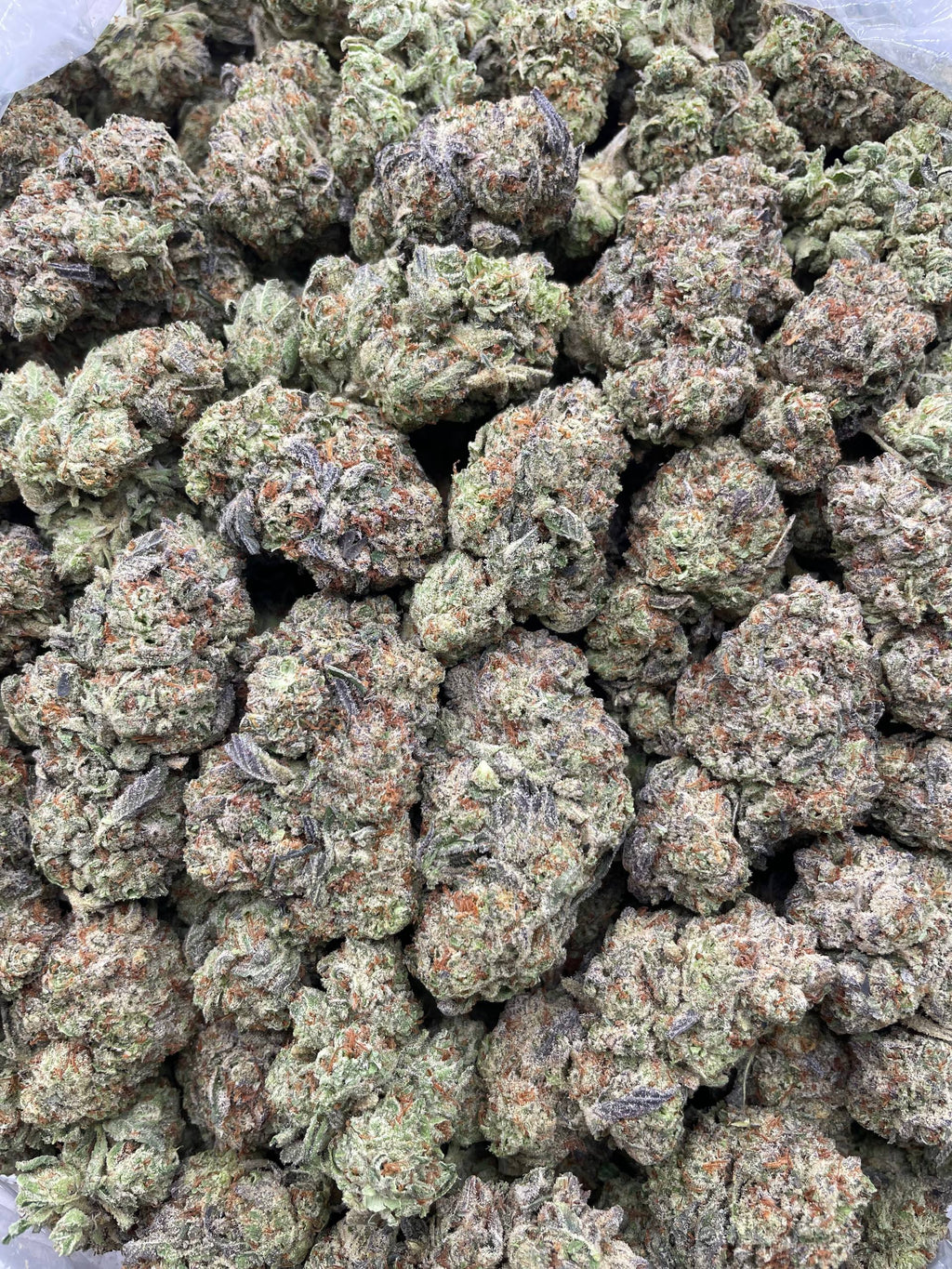 #E16C Horchata OreoZ (MIXED LIGHT)