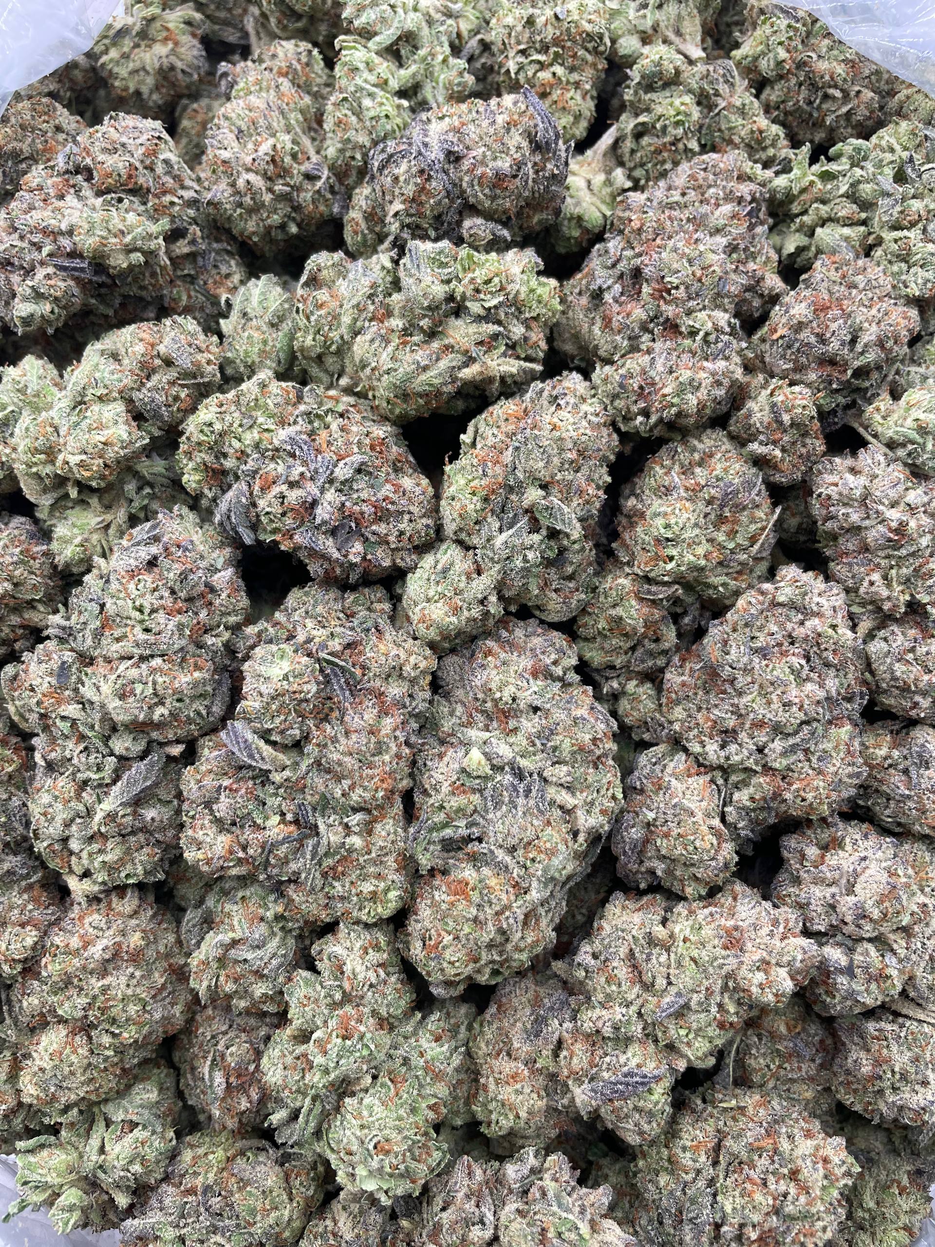 #E16C Horchata OreoZ (MIXED LIGHT)