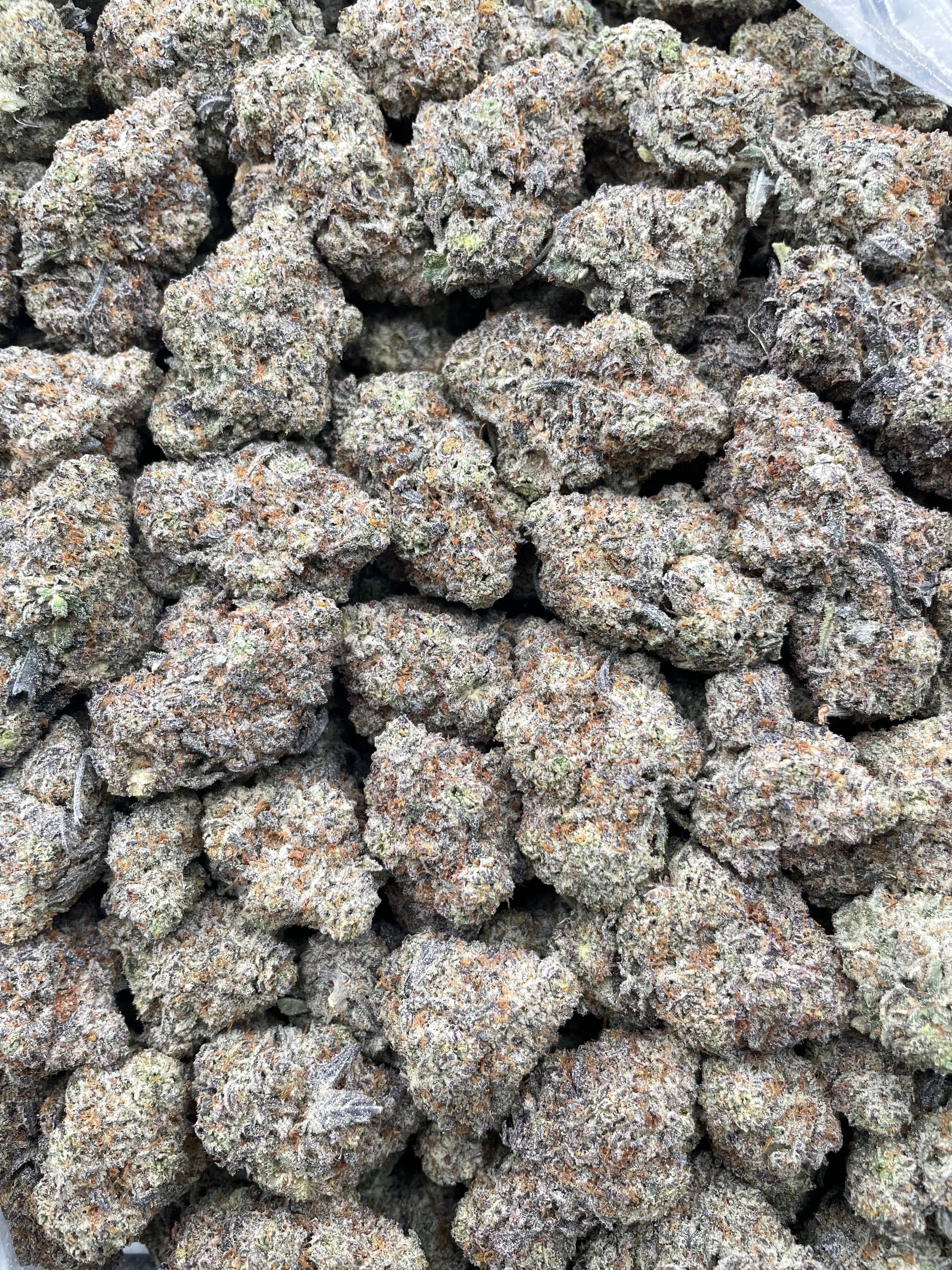 #F23B Zookie N Cream (INDOOR) (LICENSED)