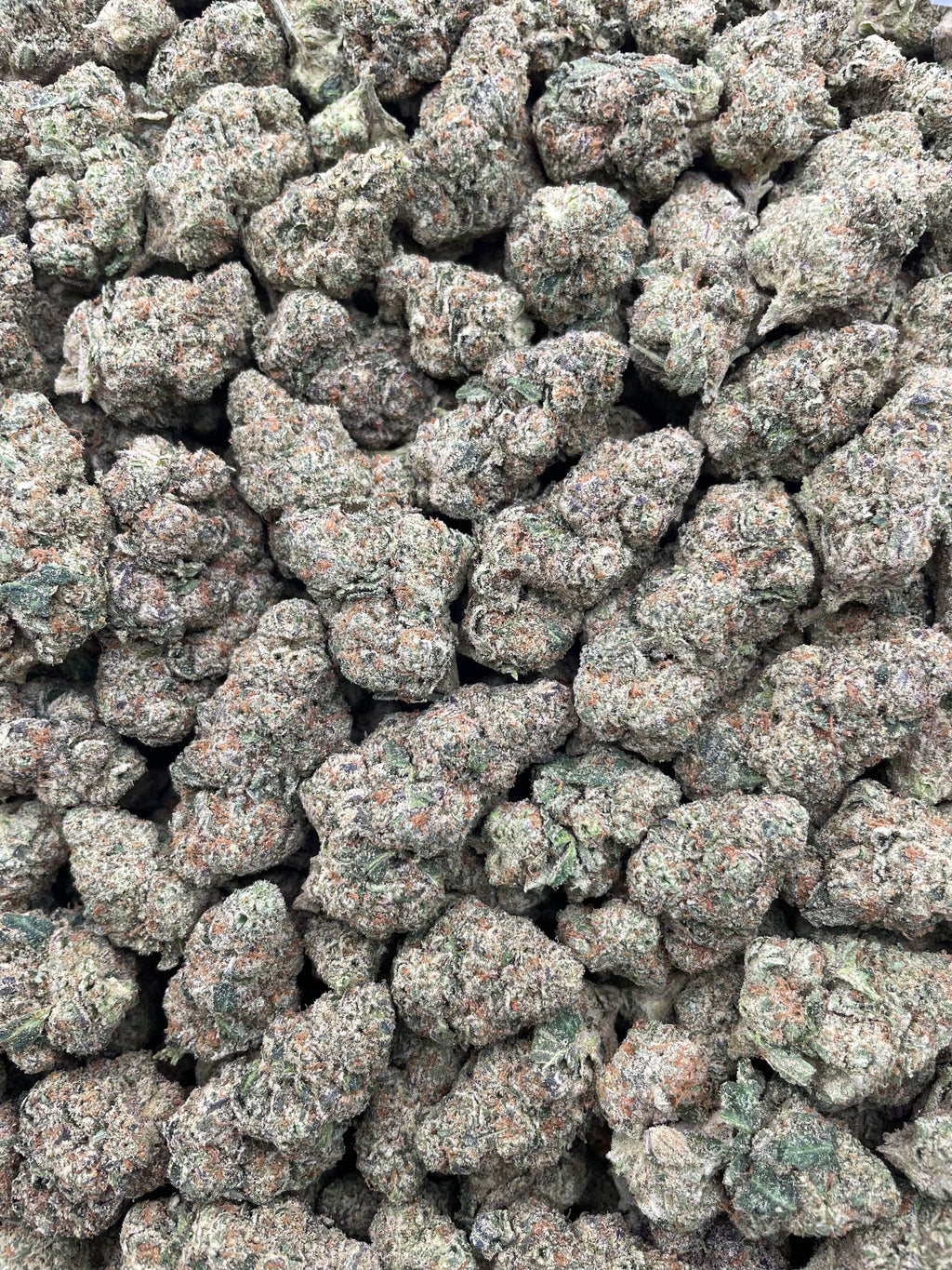 #F13B Sour Dubble X Tahoe Alien (INDOOR)