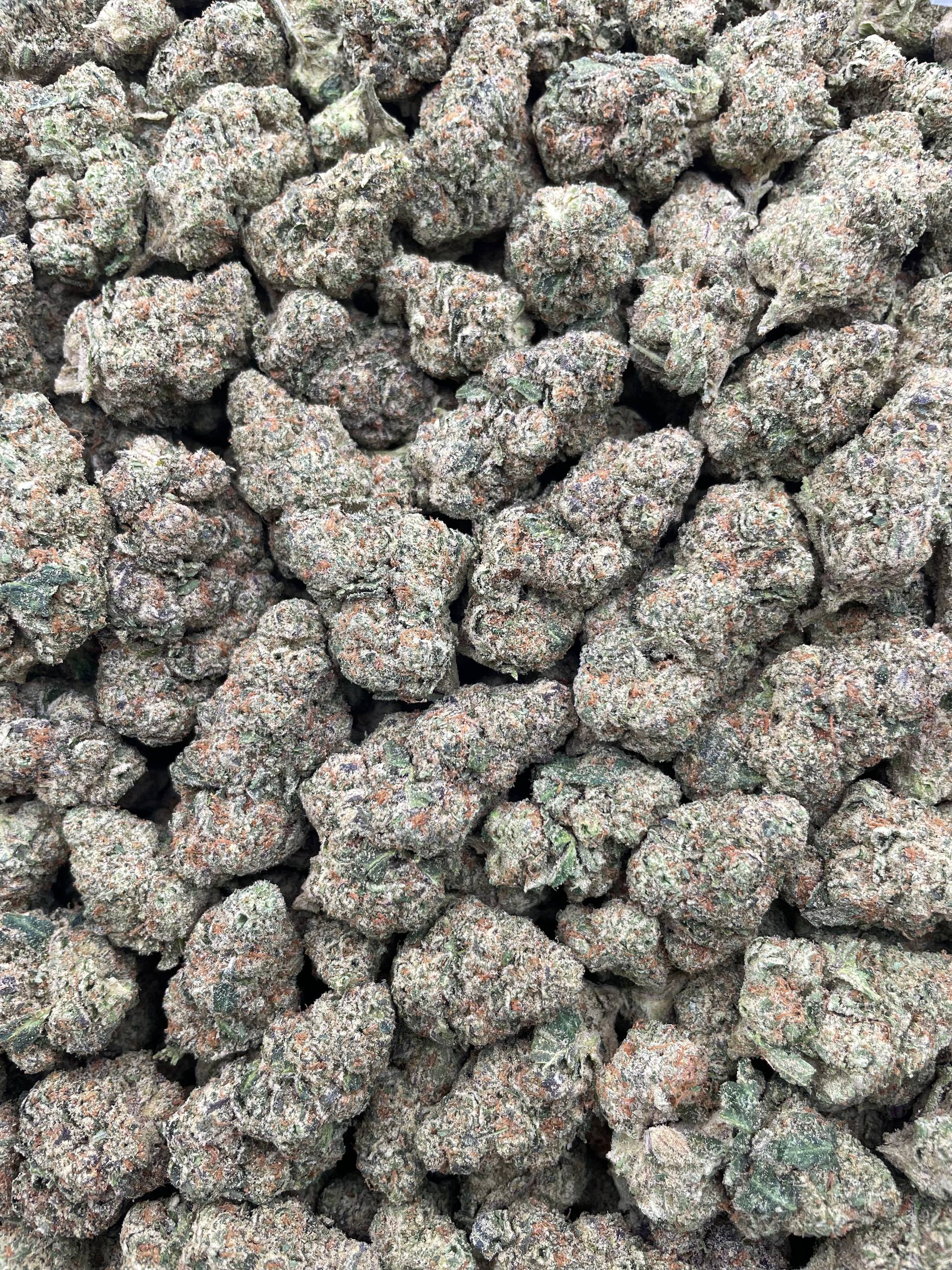 #F13B Sour Dubble X Tahoe Alien (INDOOR)