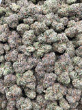 #R22X Gobstoppers (EXOTIC)
