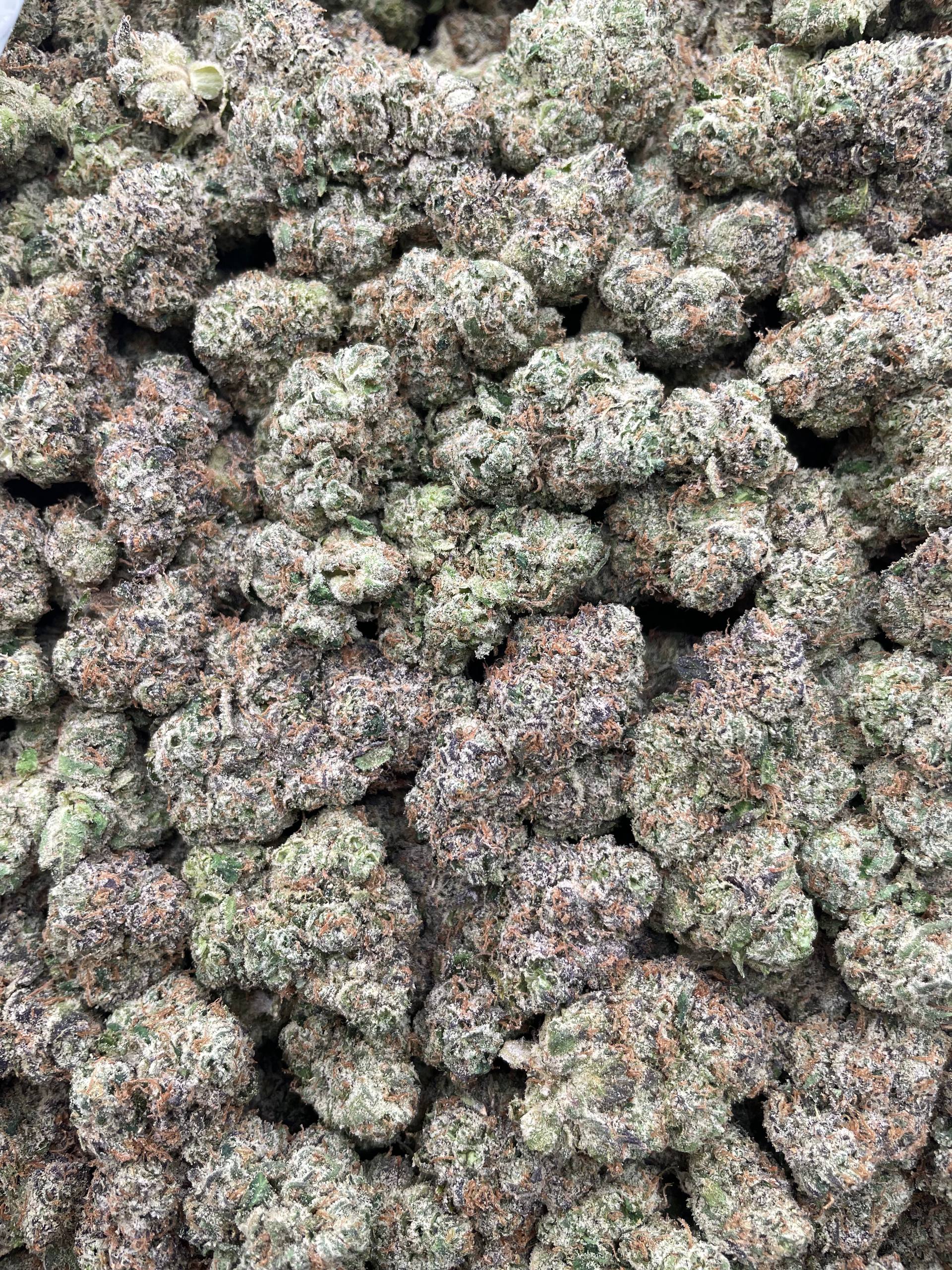 #R22X Gobstoppers (EXOTIC)