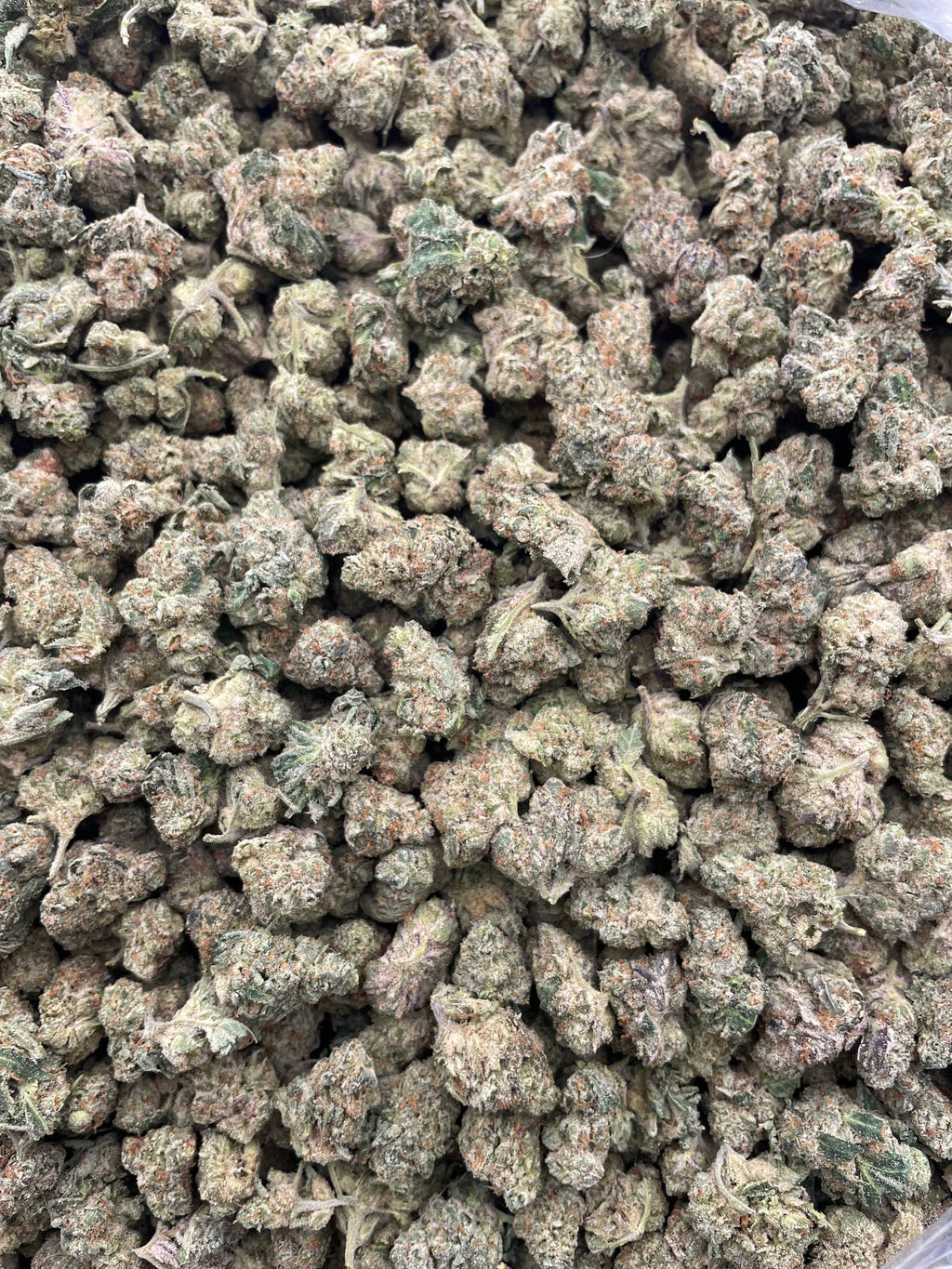 #E34A Blue Dream (SHMEDIUMS)