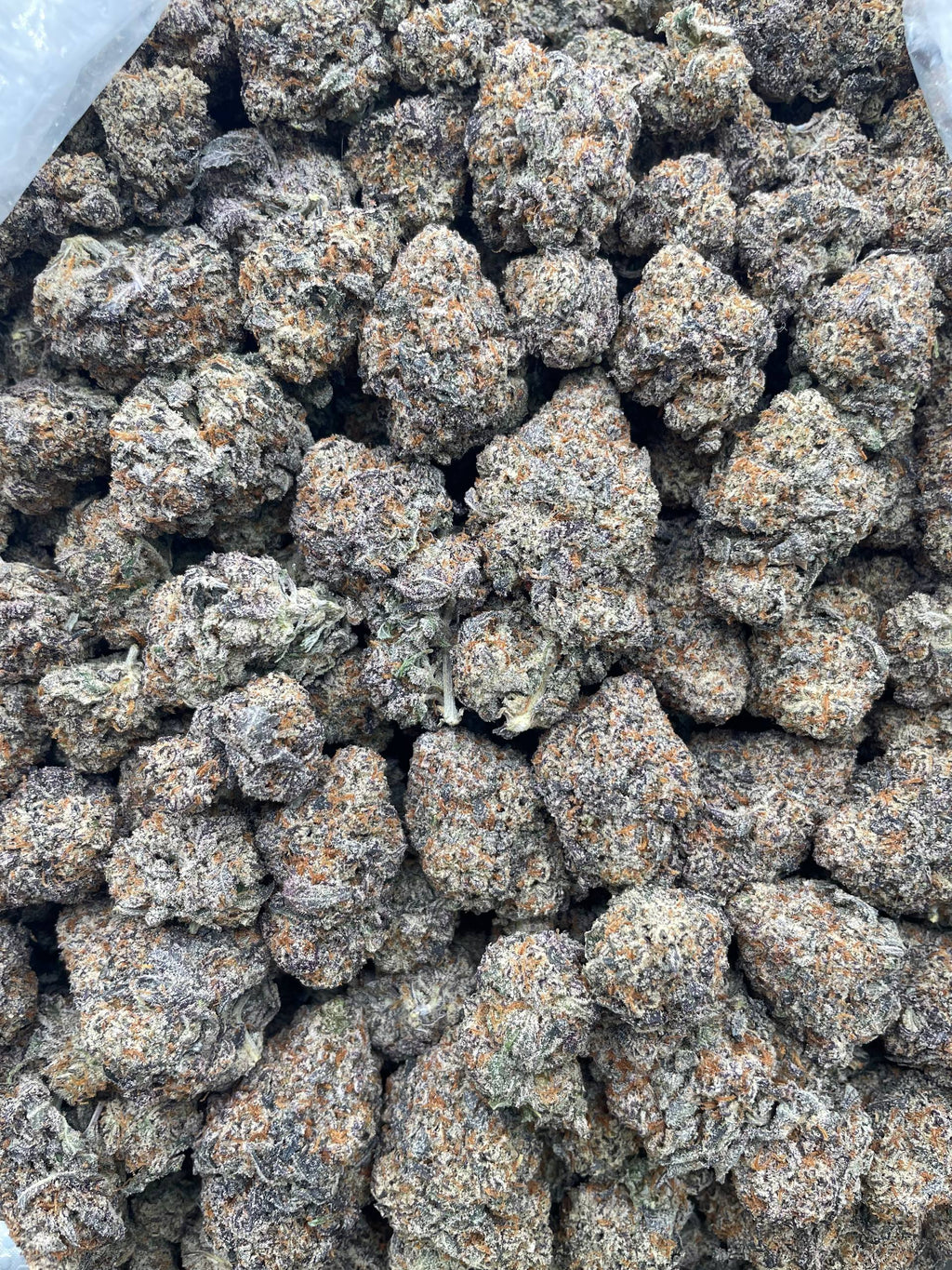 #F22C White Trufflez X Oreoz (INDOOR)