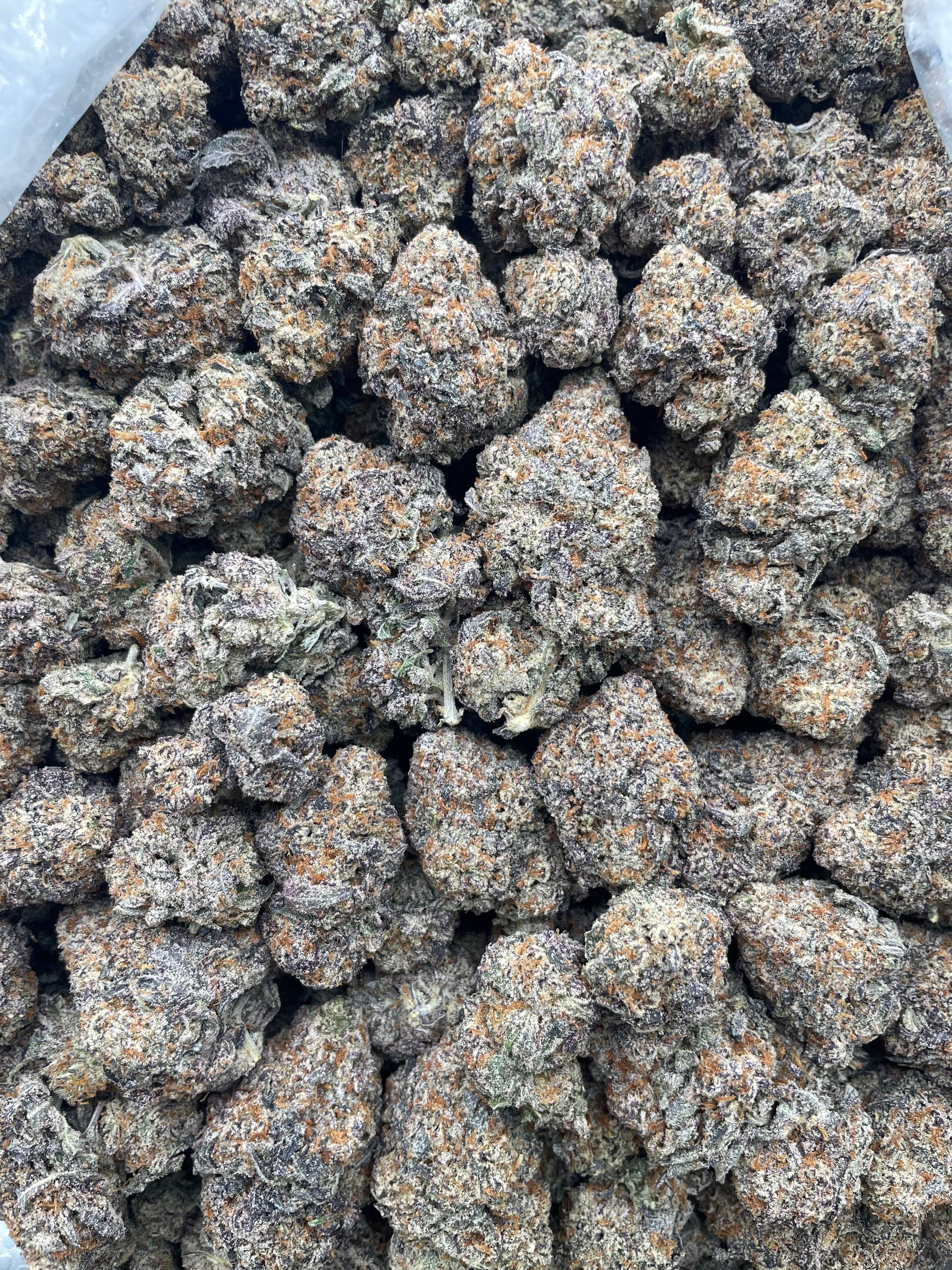 #F22C White Trufflez X Oreoz (INDOOR)