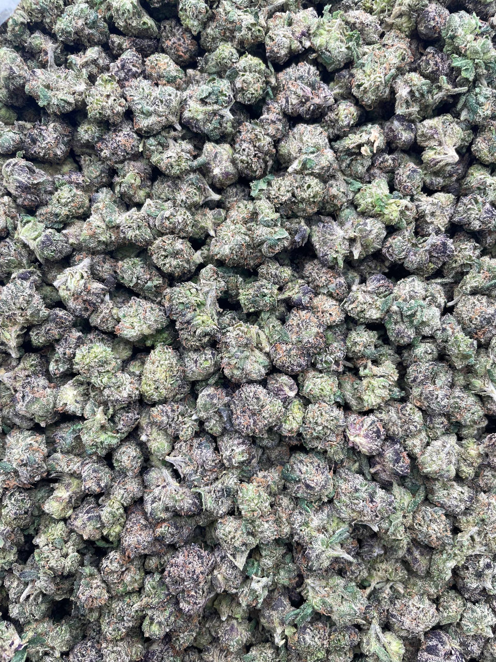 #H18B Zoad Poison (SMALLS)