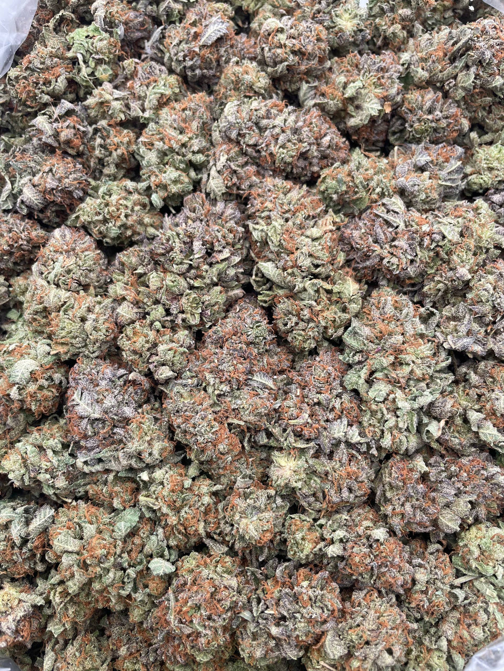 #F26B Purple Bubba (INDOOR)