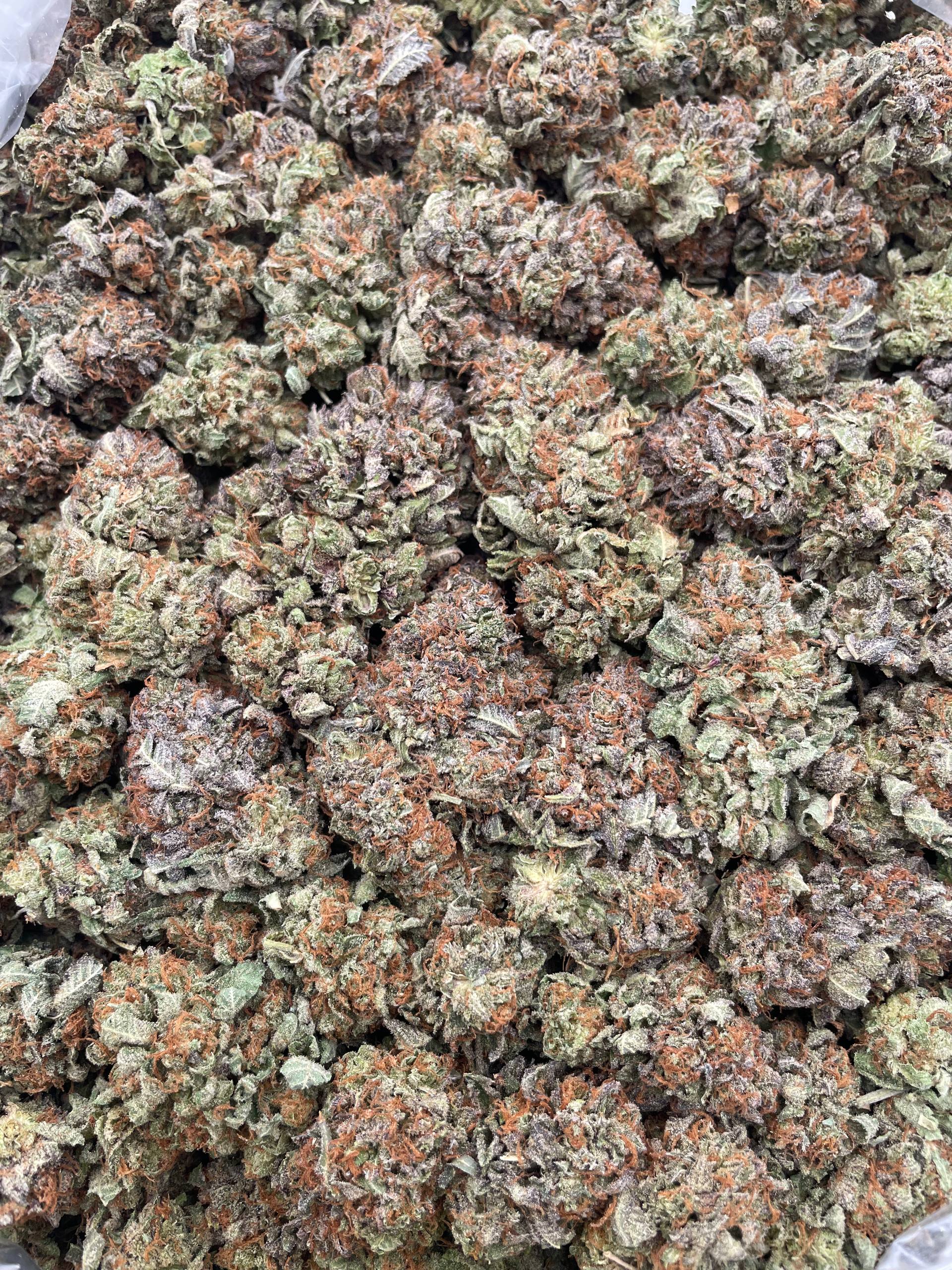 #F26B Purple Bubba (INDOOR)