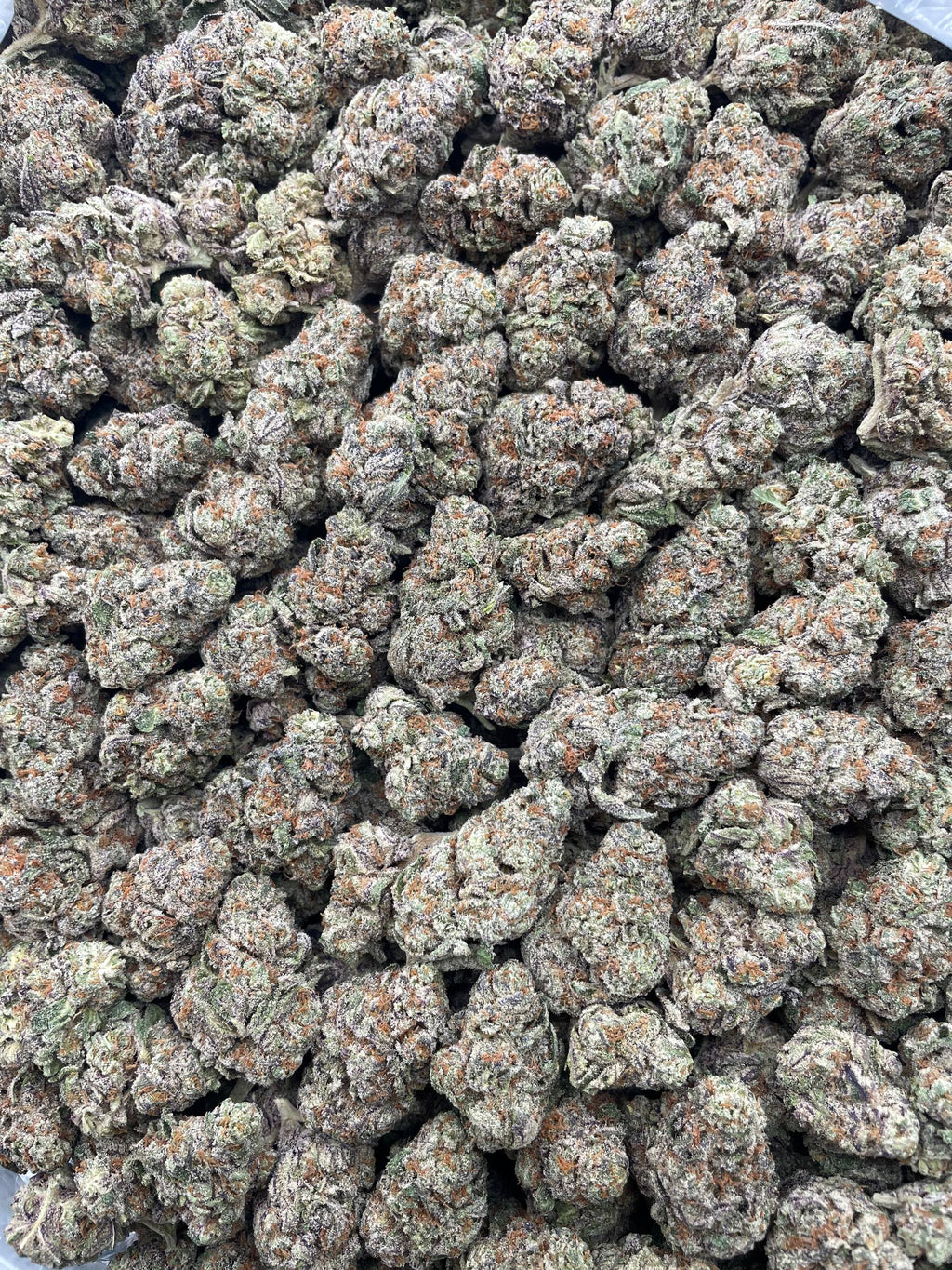 #E21C Grape N Cream (INDOOR)