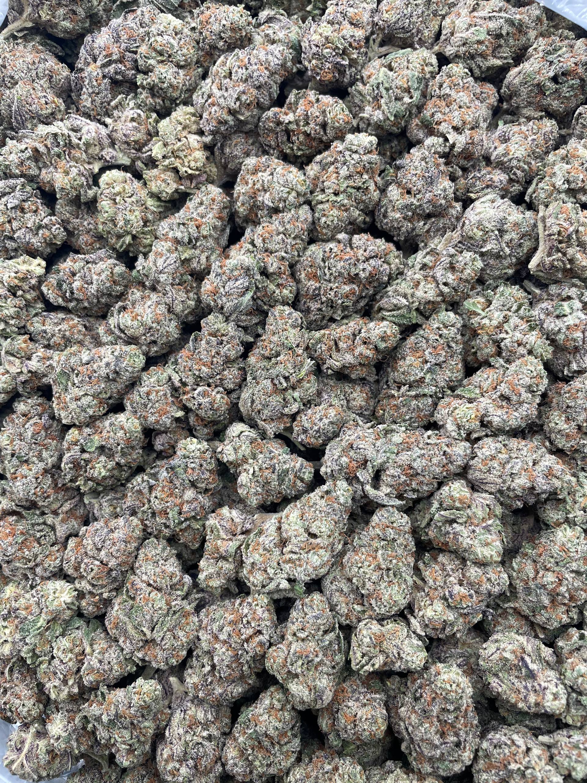 #E21C Grape N Cream (INDOOR)