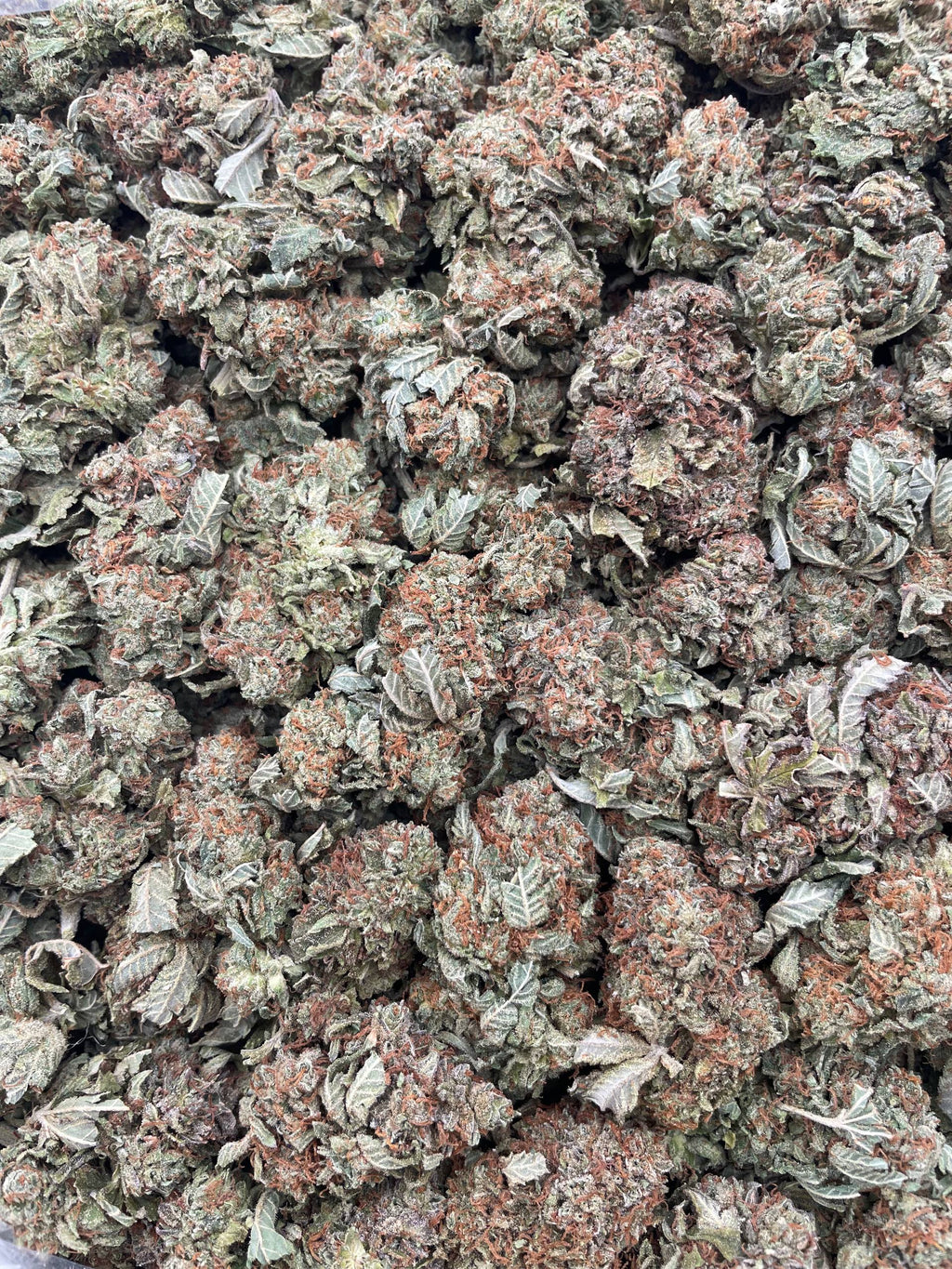 #G30C Bubba Man (INDOOR)