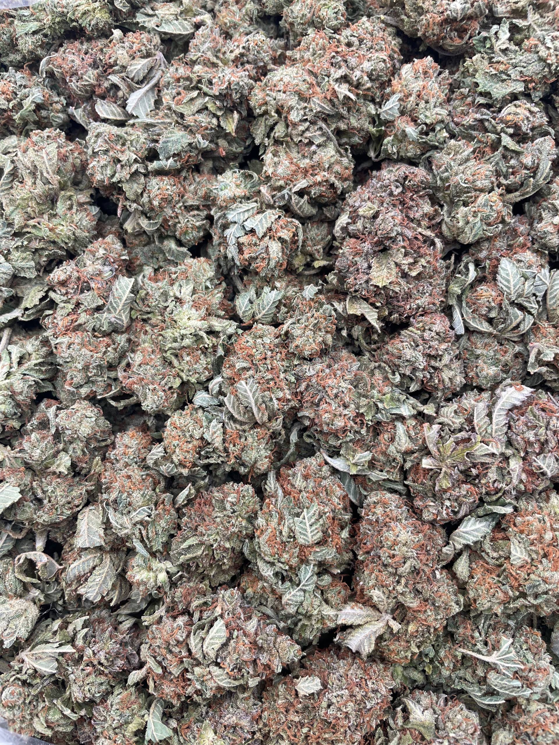 #G30C Bubba Man (INDOOR)
