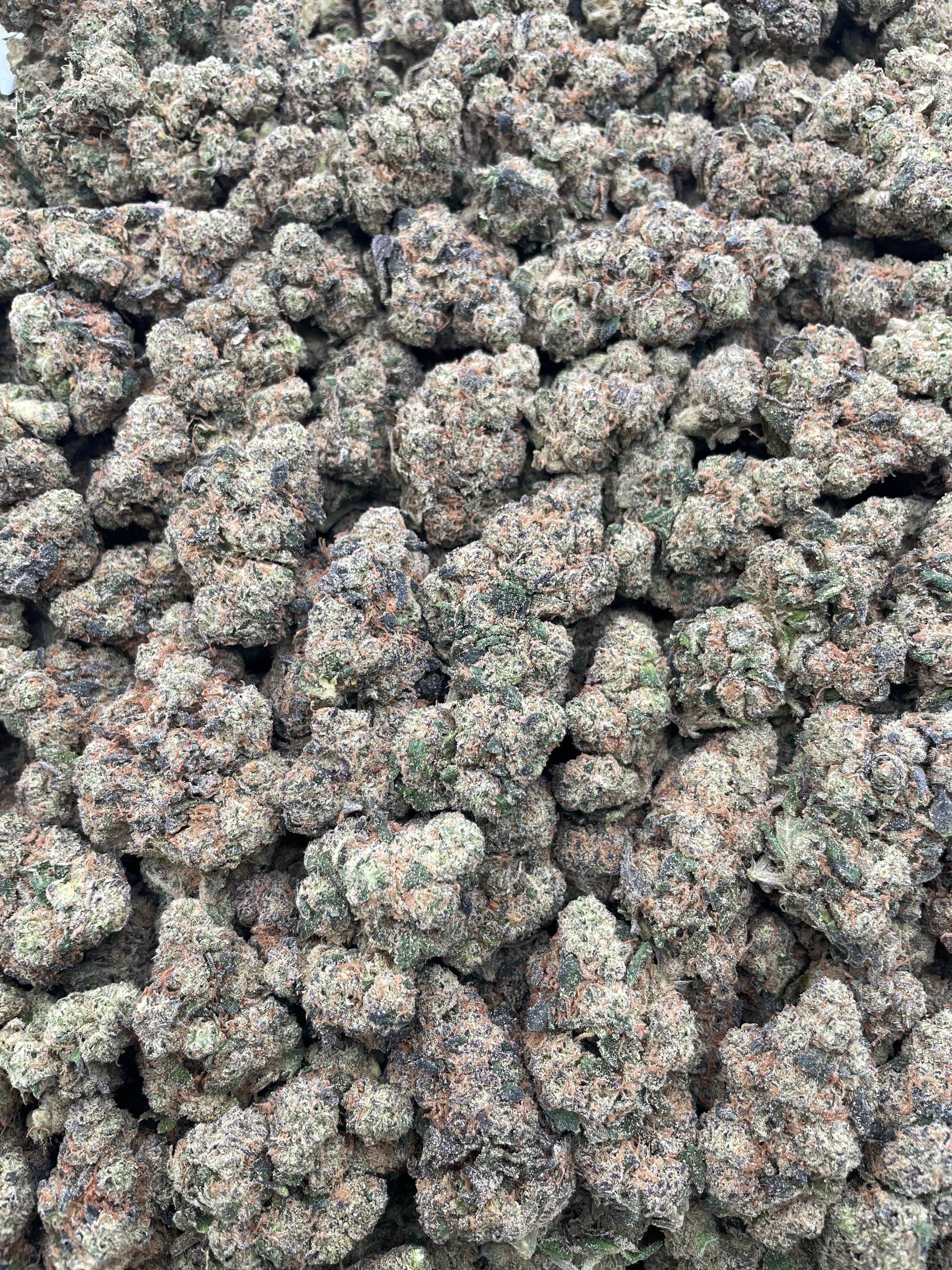 #H40A Garlic Bomb (INDOOR)
