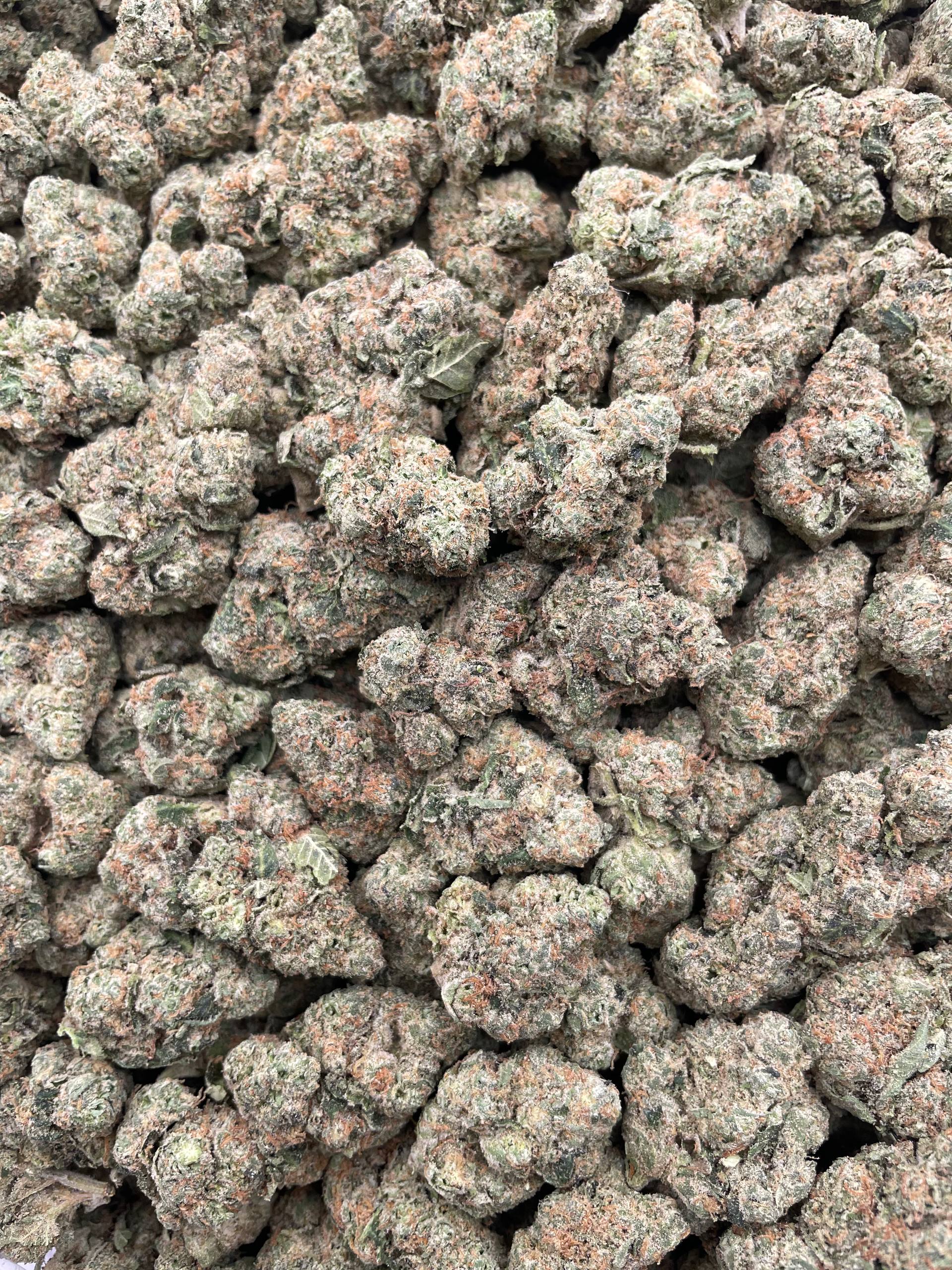 #G28C Sunset Gelato (INDOOR)