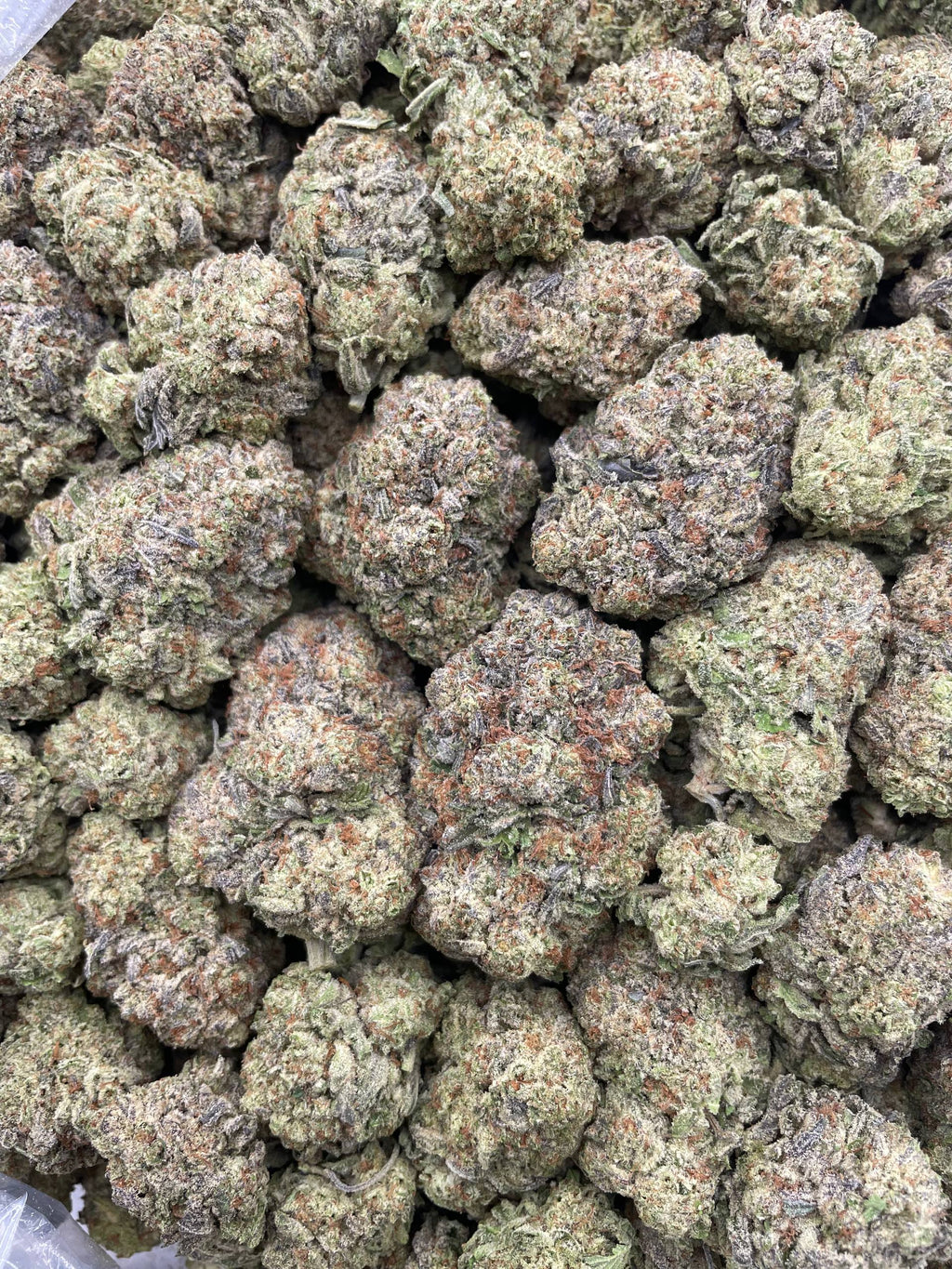 #H28C Gelato Blizzard (MIXED LIGHT)