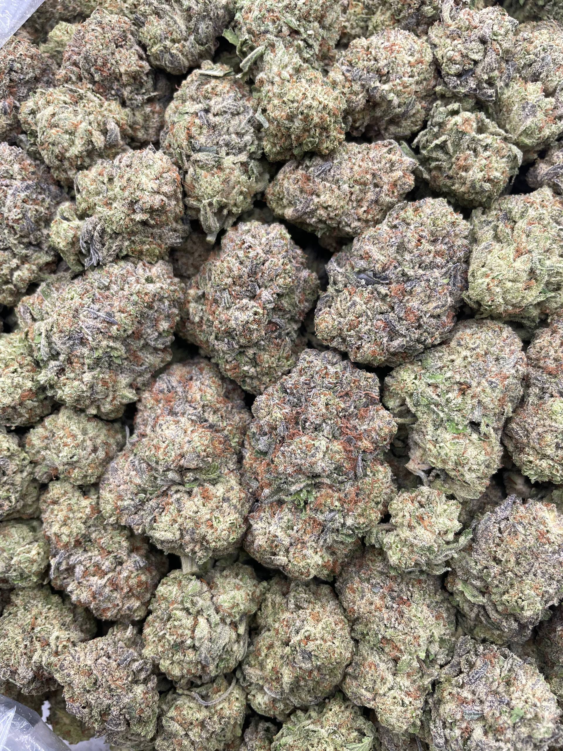 #H28C Gelato Blizzard (MIXED LIGHT)