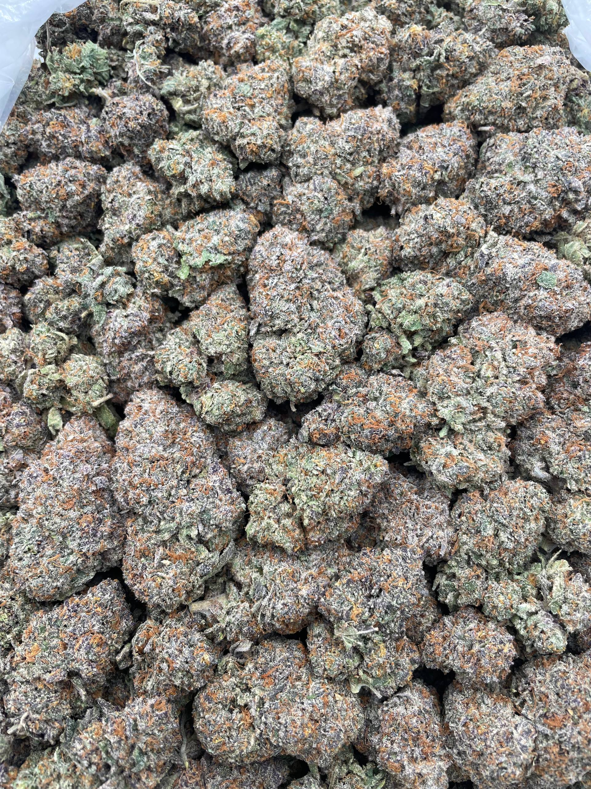 #H9B Oreo Runtz (INDOOR)