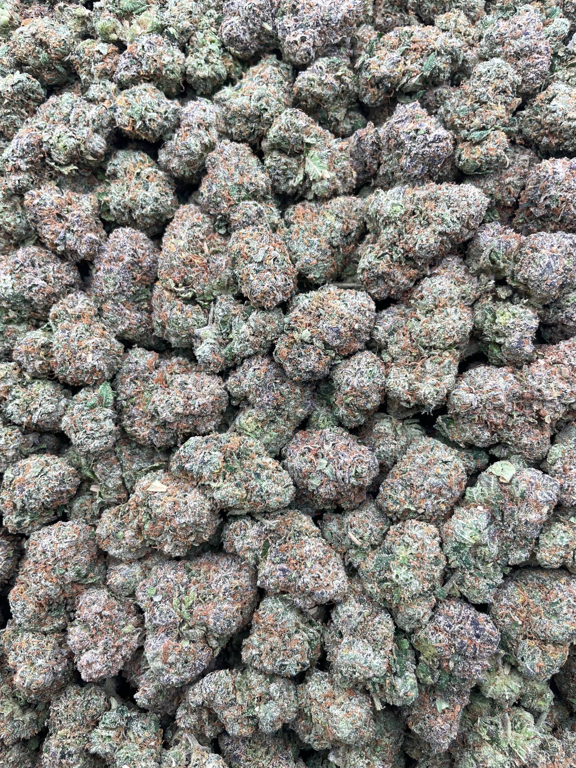 #H5A Cap Junky X Lemom Cherry Gelato (INDOOR) (LICENSED)