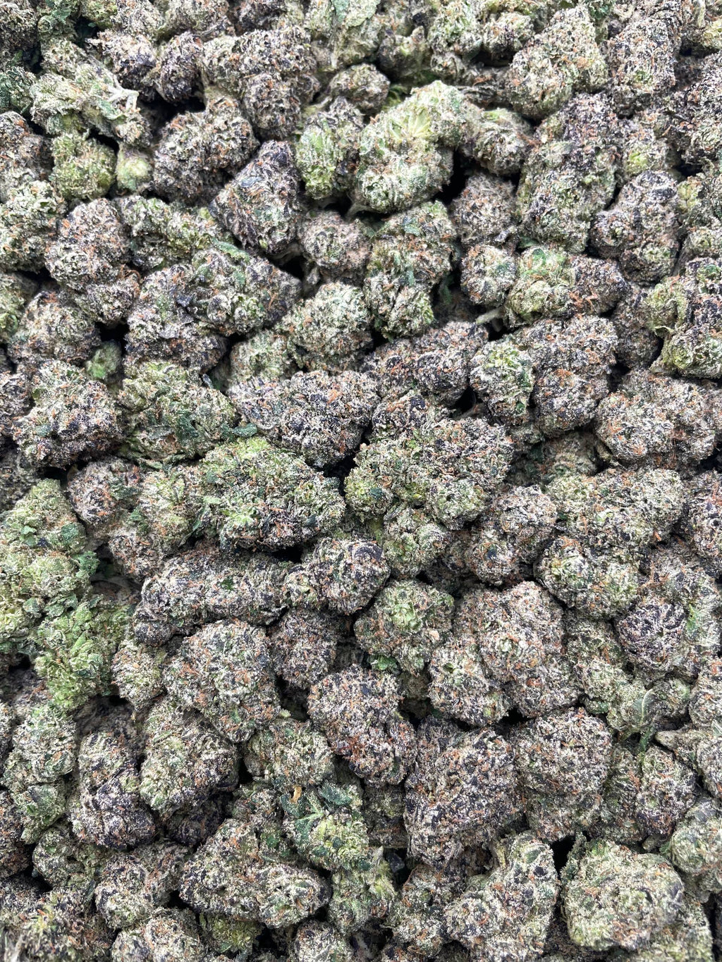 #E14B Cotton Candy Cherriez (MEDIUMS) (LICENSED)