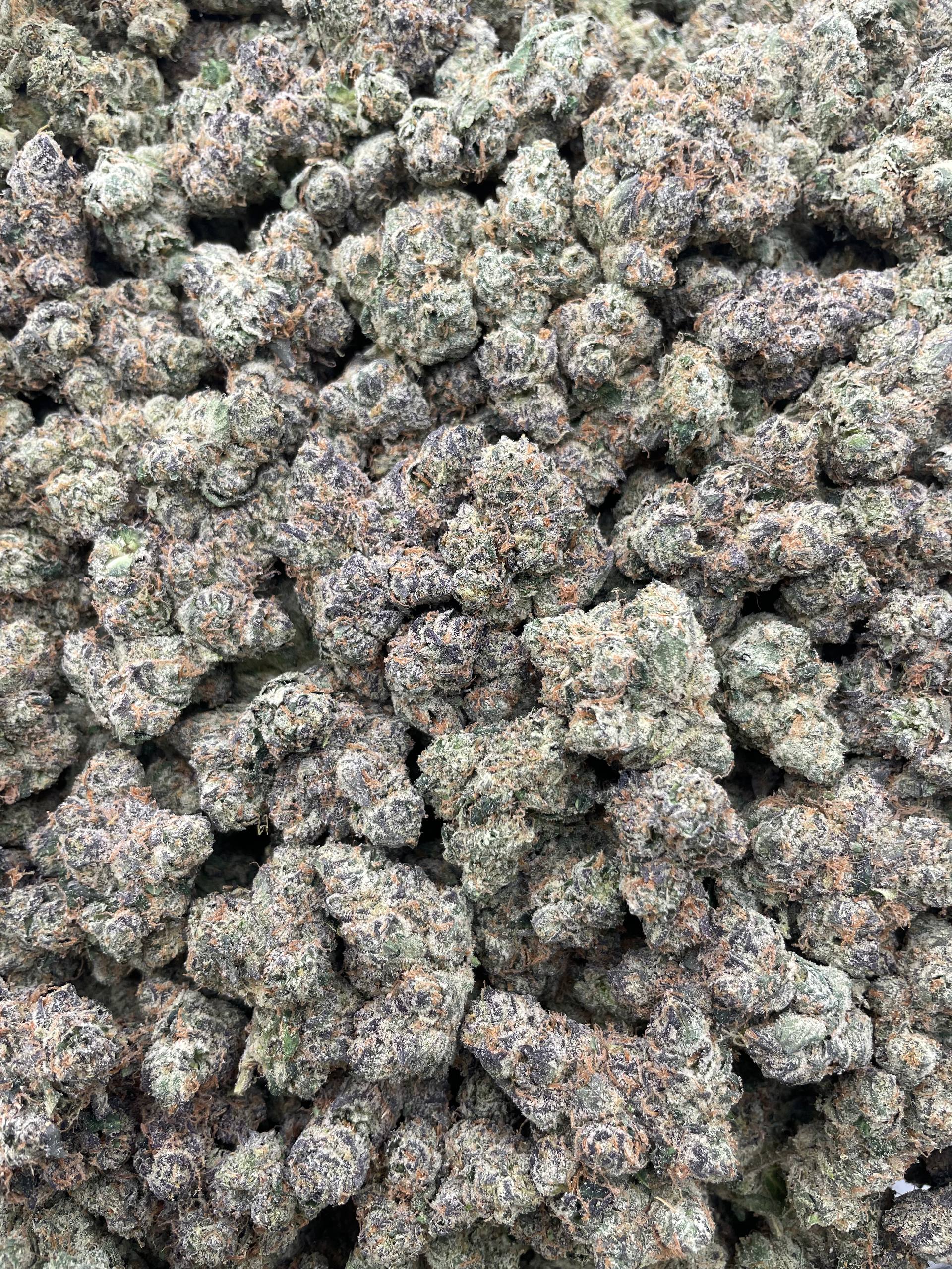#H10C Blunt O Clock (EXOTIC)