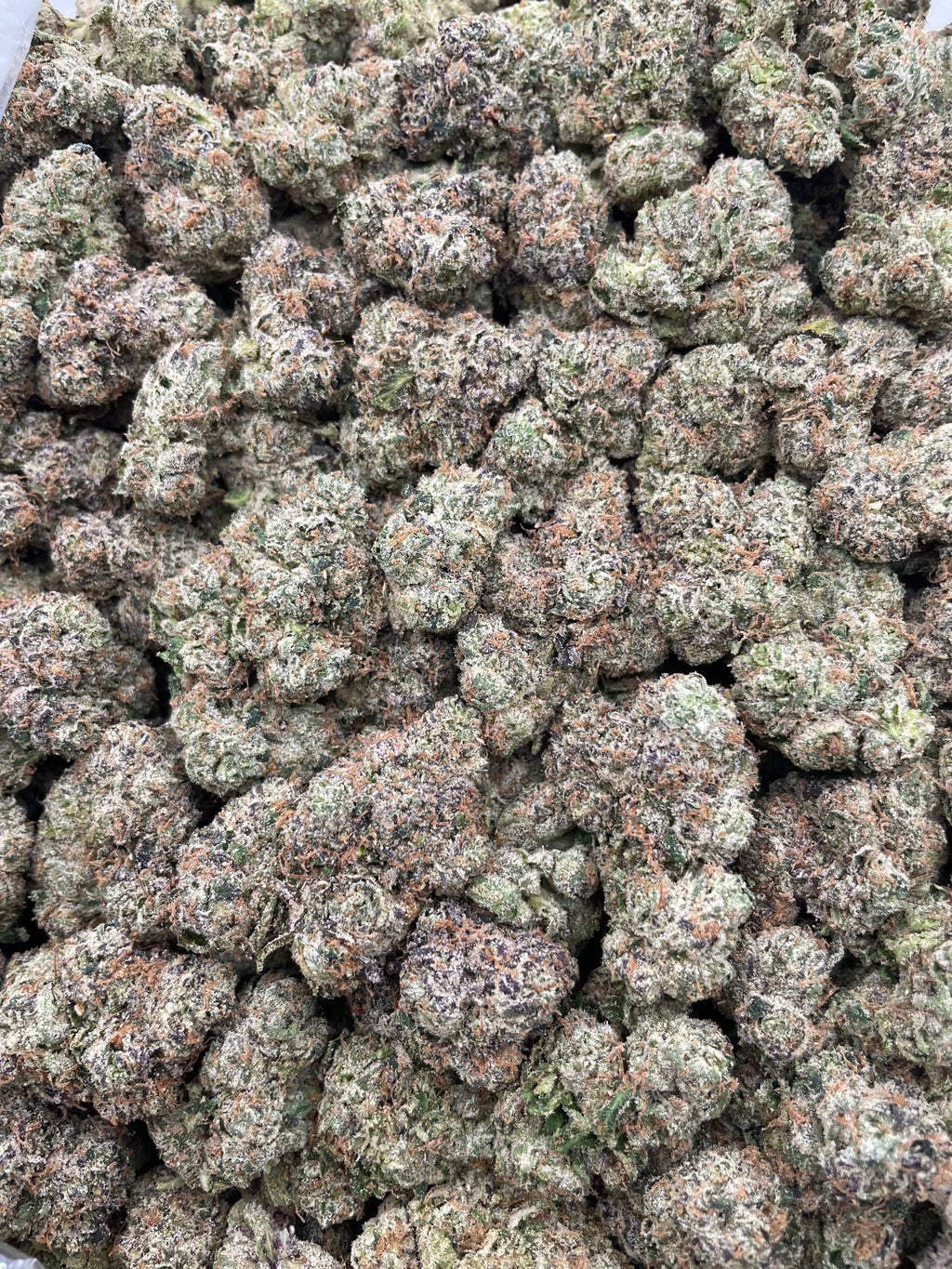 #R54X Hustle Candy (EXOTIC)